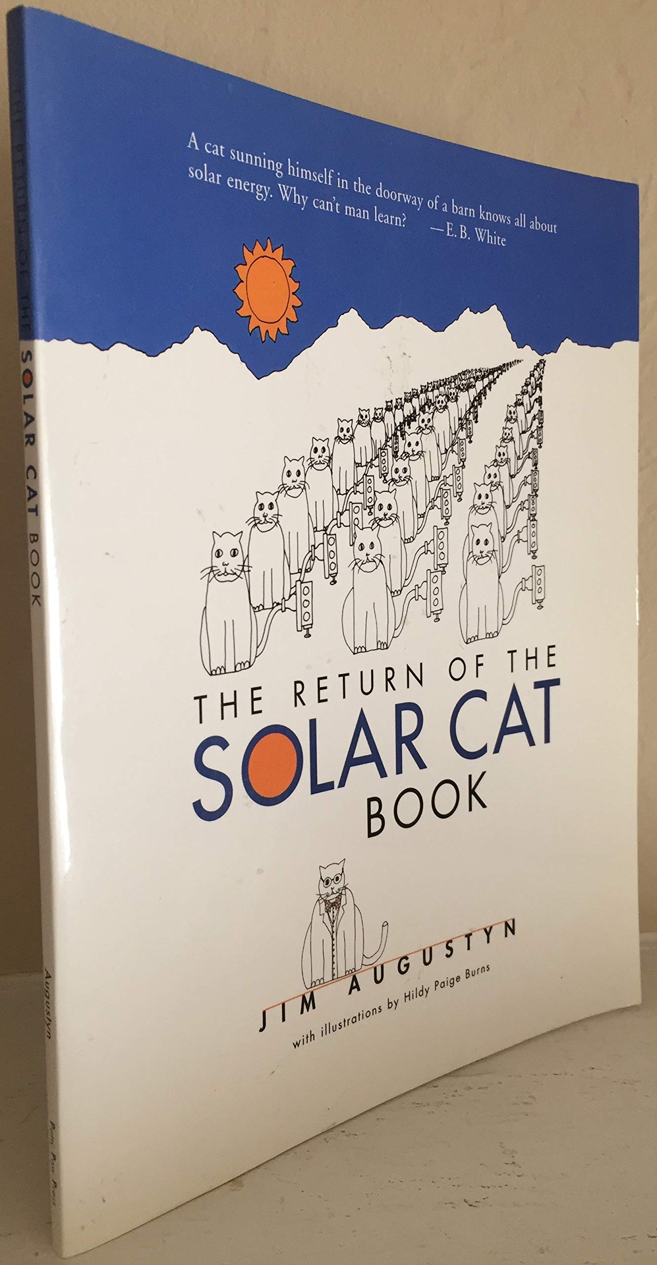 The Return of the Solar Cat Book: Mixing Cat Wisdom with Science and Solar Politics,Used