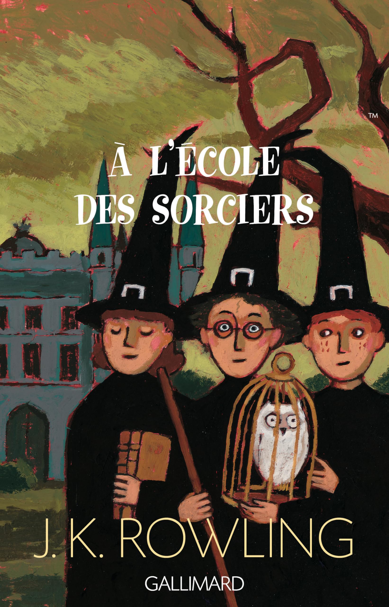 HARRY POTTER A L'ECOLE DES SORCIERS (French Edition),Used