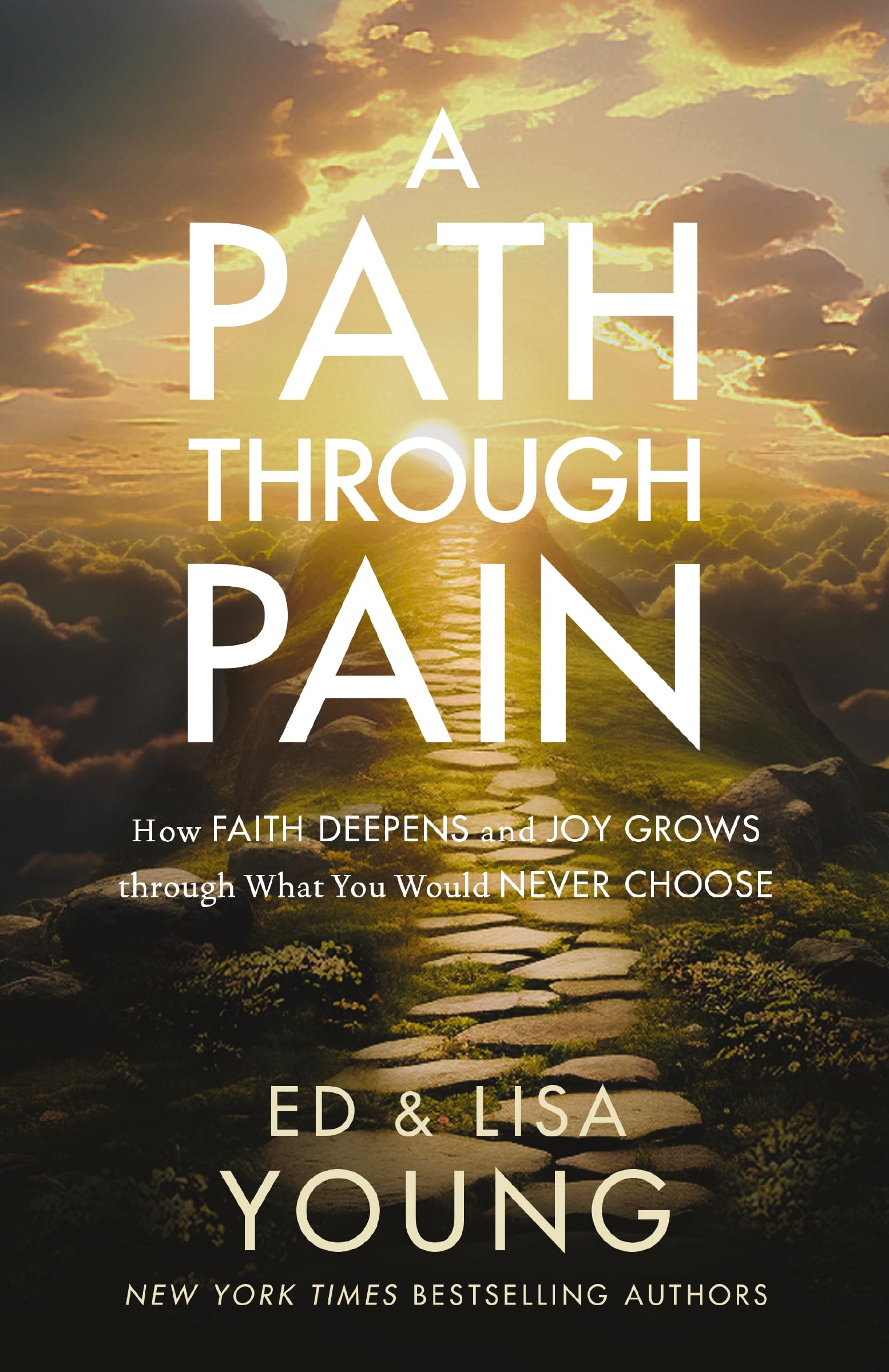 A Path Through Pain: How Faith Deepens And Joy Grows Through What You Would Never Choose,Used