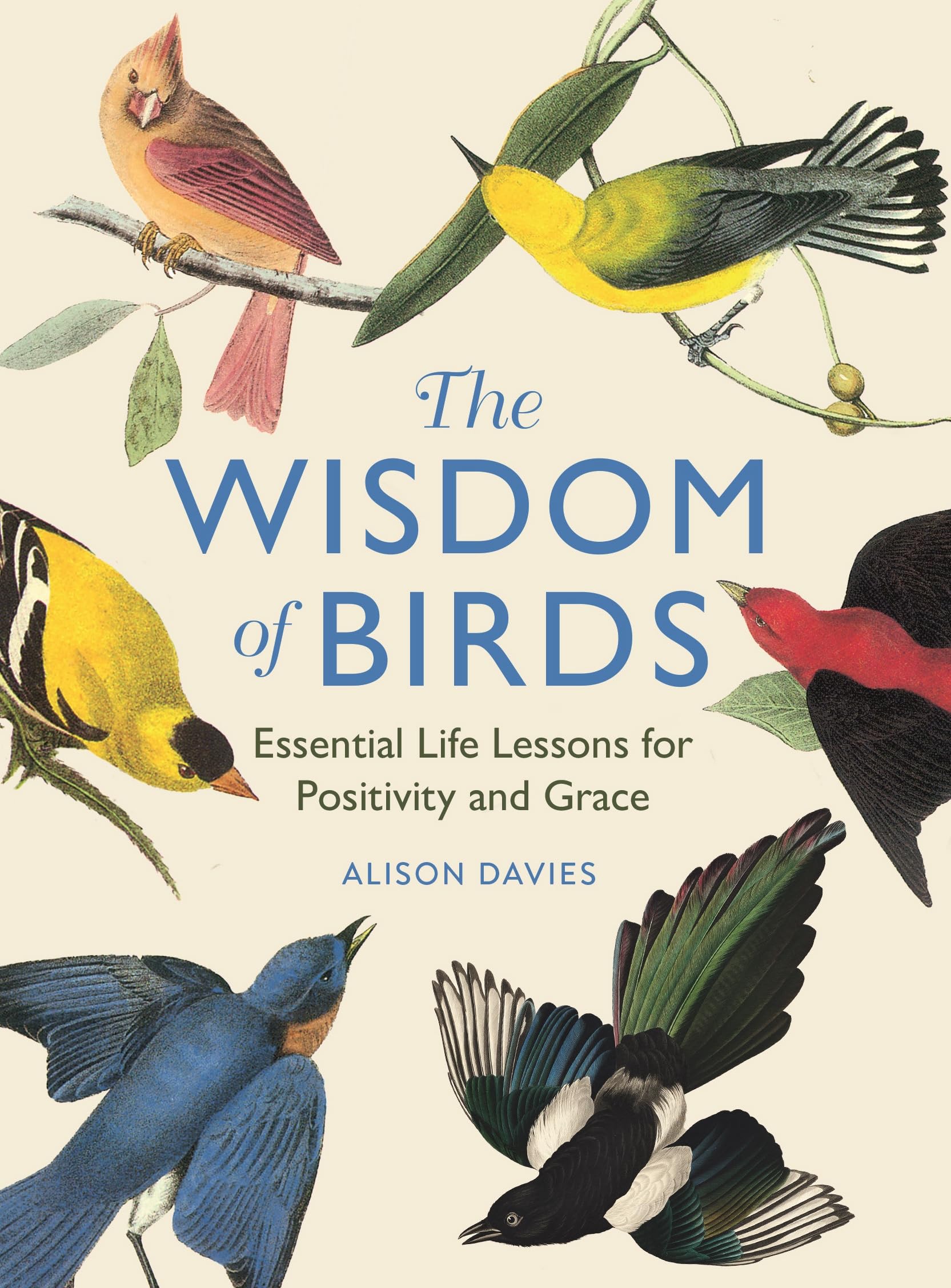 The Wisdom of Birds: Essential Life Lessons for Positivity and Grace,New