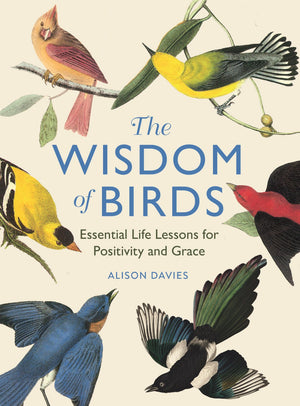 The Wisdom of Birds: Essential Life Lessons for Positivity and Grace,New