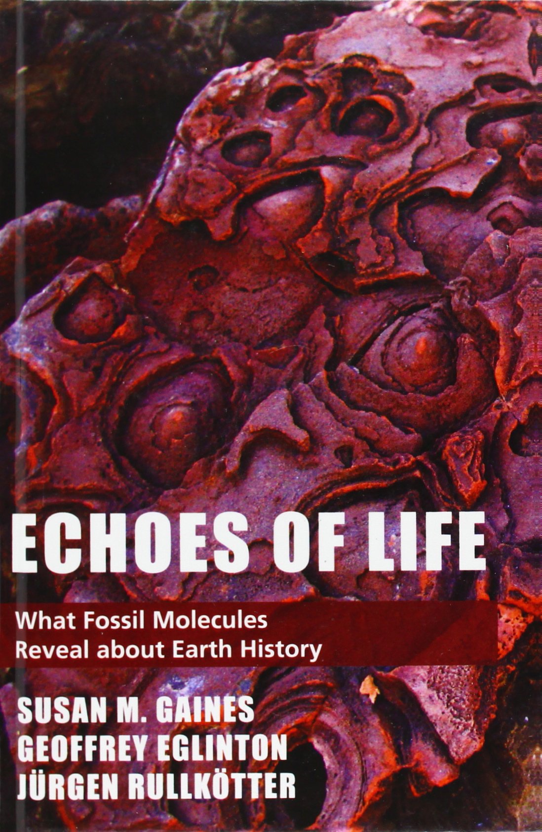 Echoes of Life: What Fossil Molecules Reveal about Earth History,New