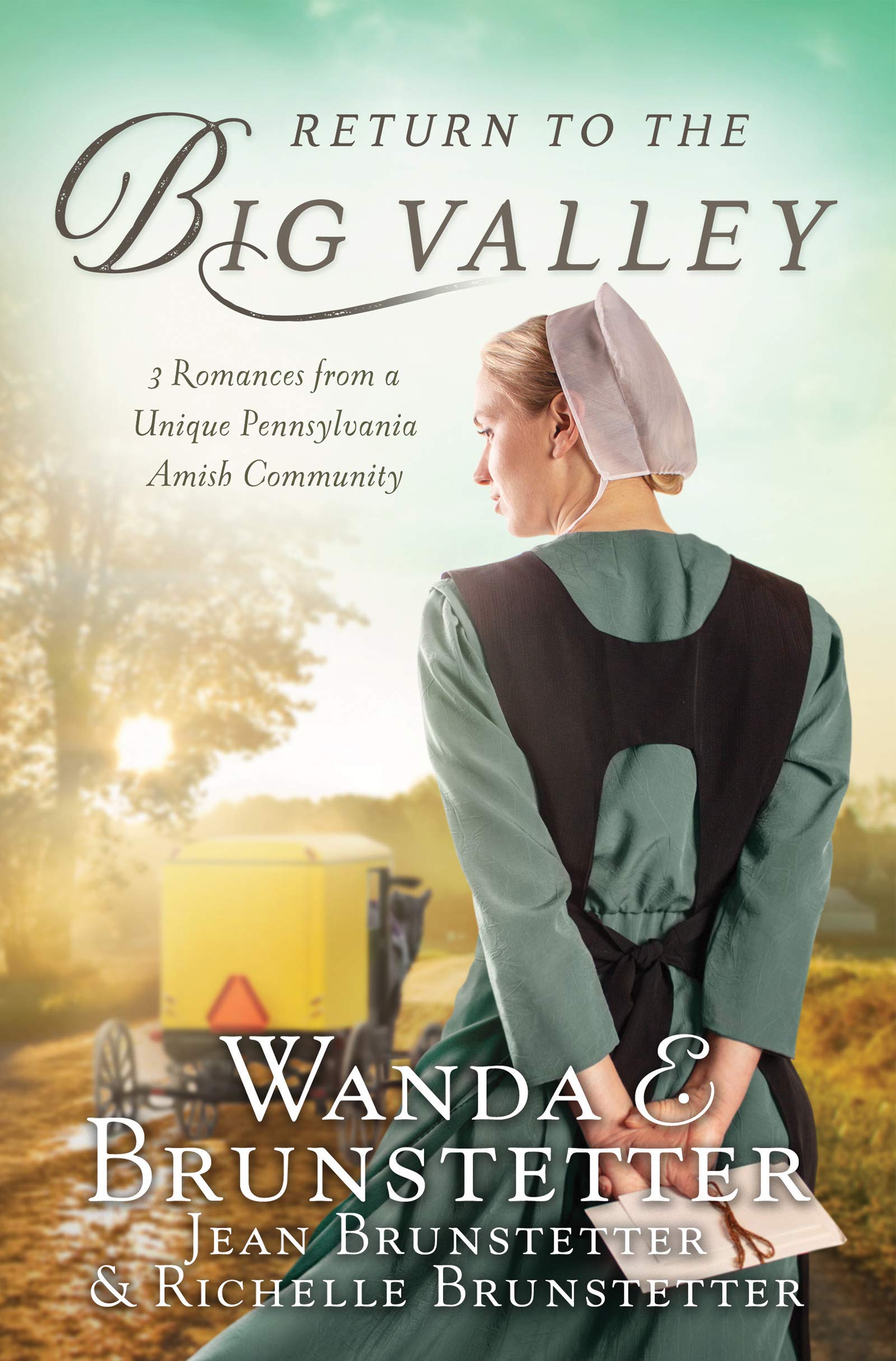 The Return to the Big Valley,Used