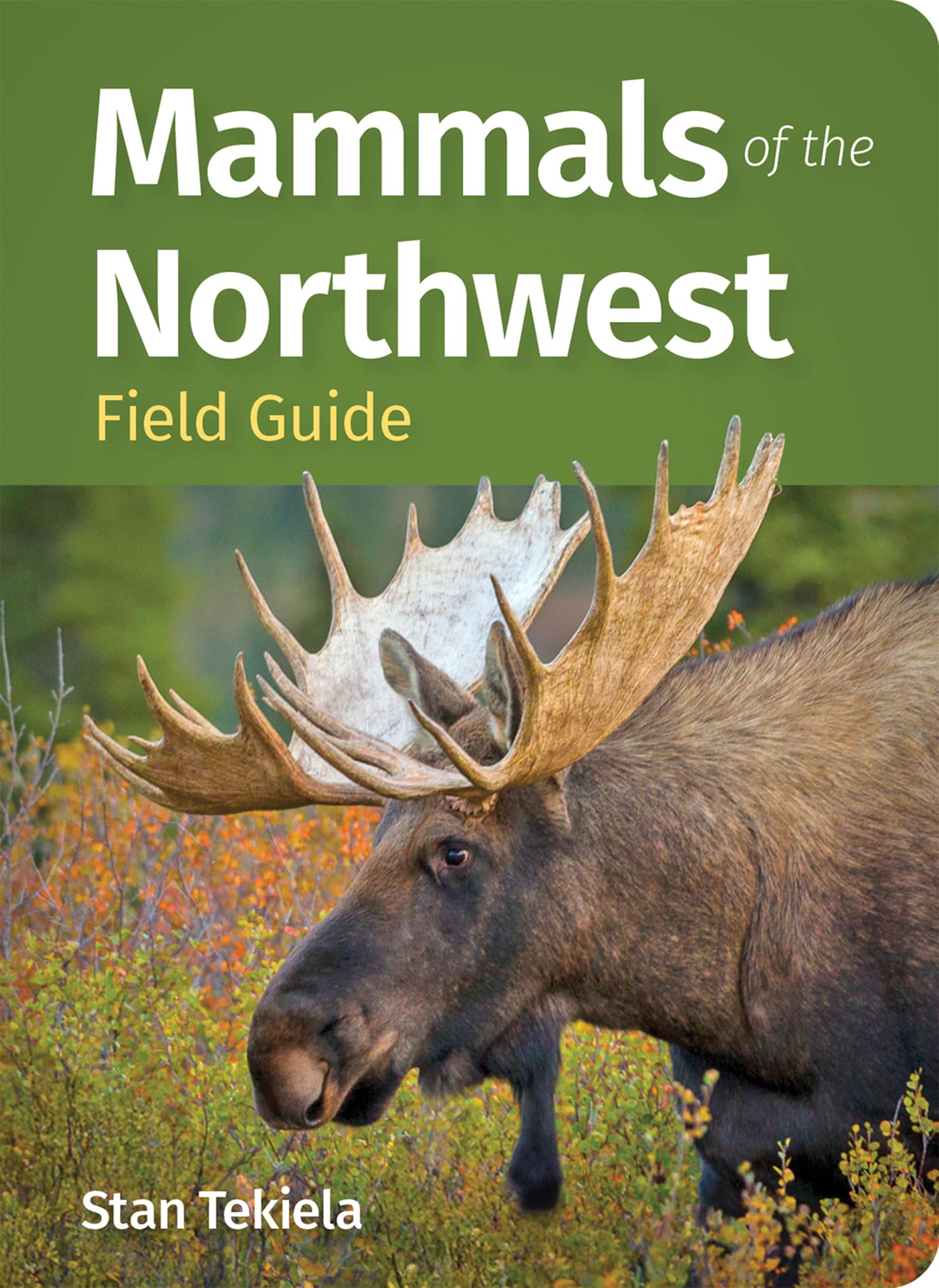 Mammals Of The Northwest Field Guide (Mammal Identification Guides)