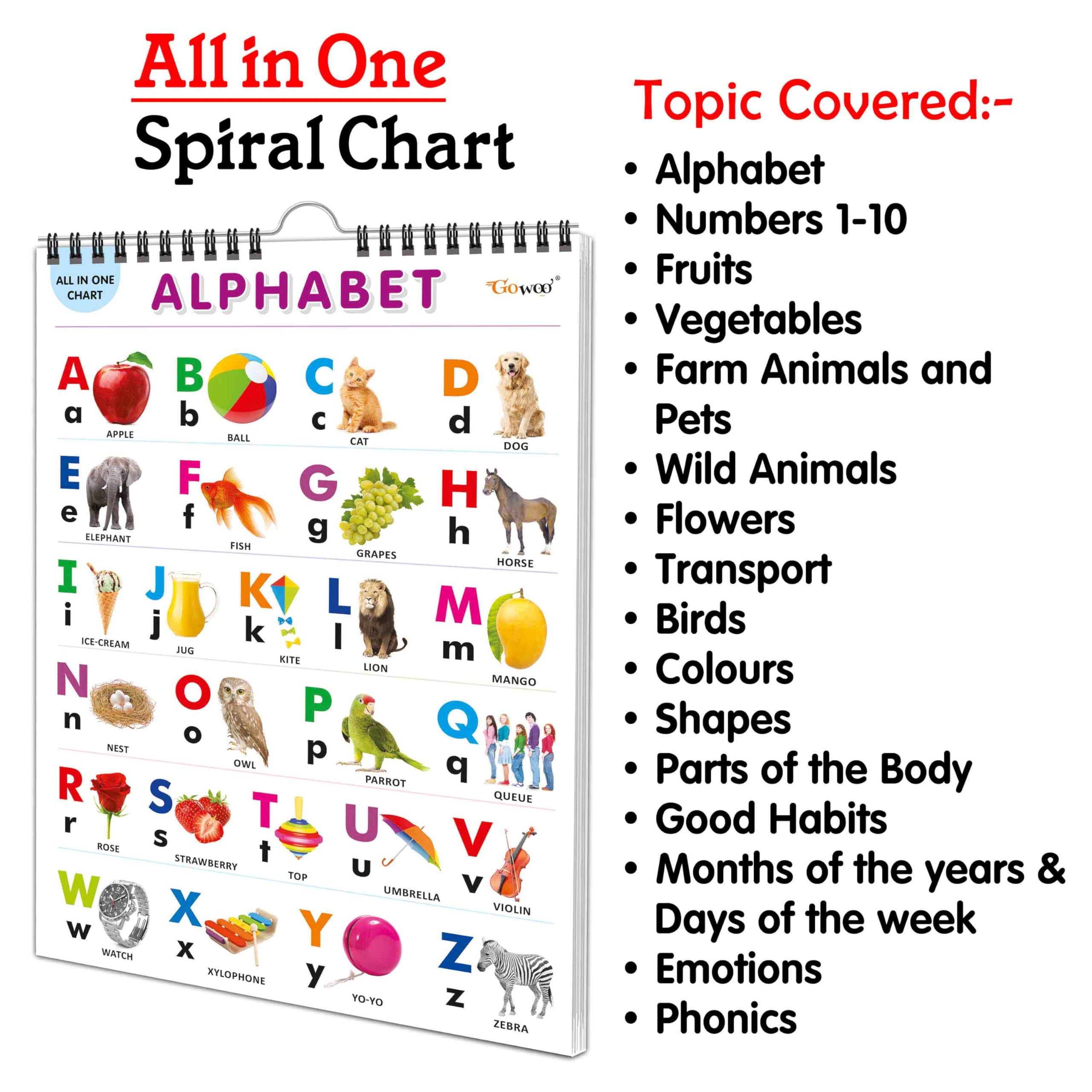 My First All In One Spiral Chart : Chart Book Of All In One, Early Childhood Learning Chart With 16 Topics, Birthday Gifts For Children Best Friend