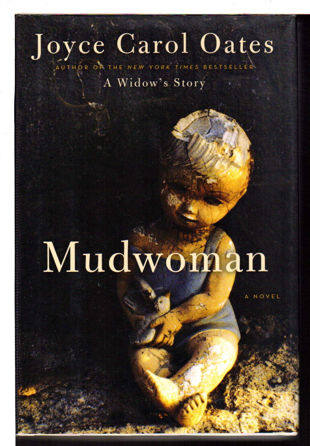 Mudwoman: A Novel,Used