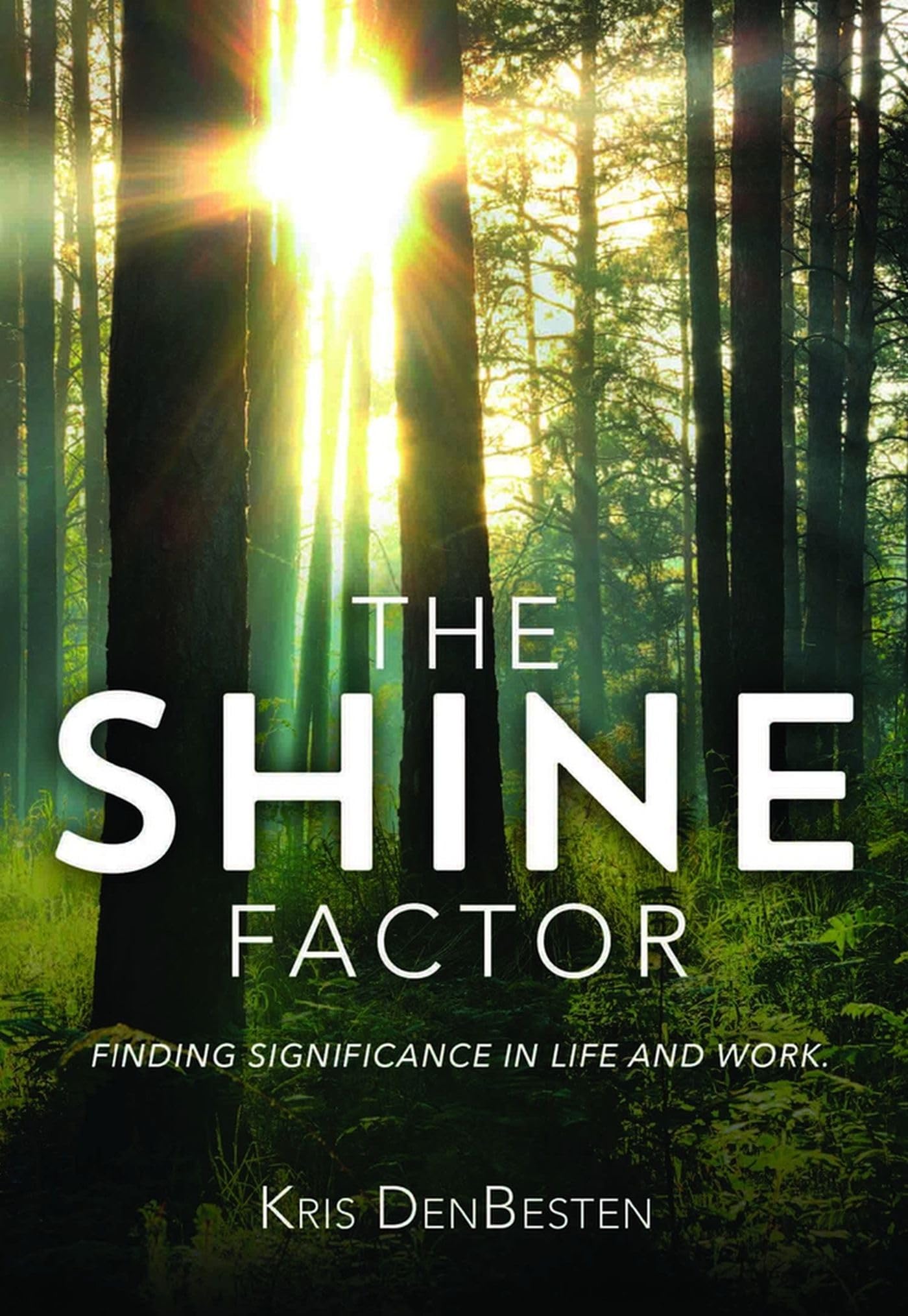 The Shine Factor,Used