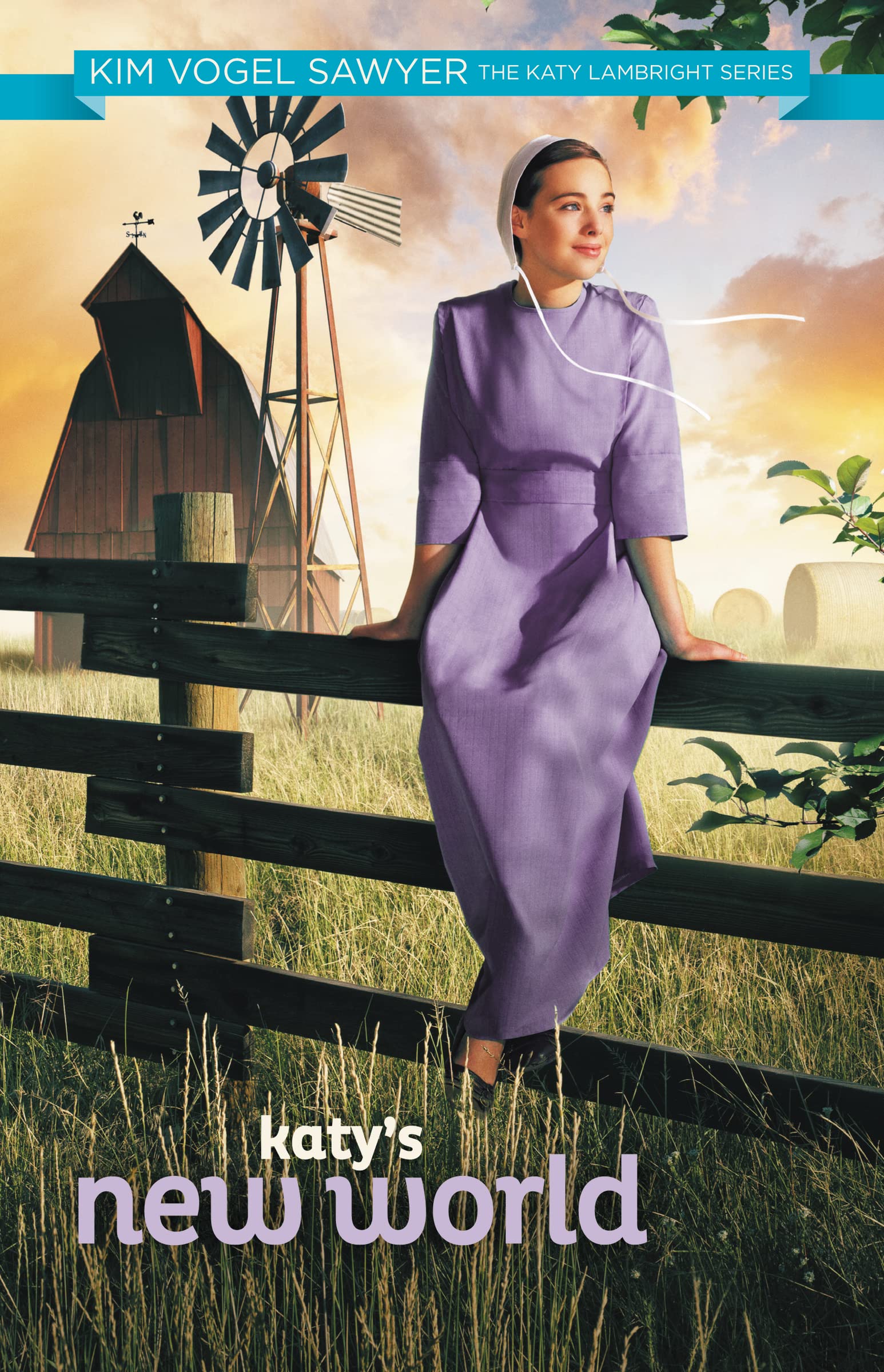 Katy's New World (Katy Lambright),Used