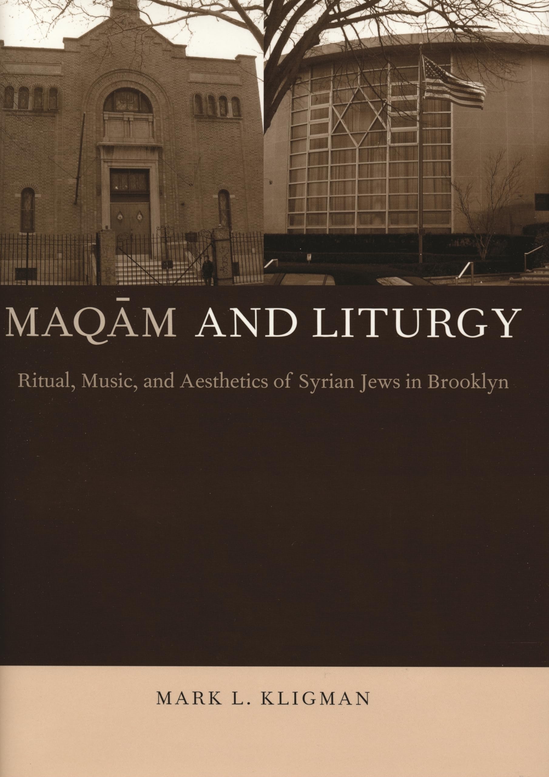 Maqam And Liturgy: Ritual, Music, And Aesthetics Of Syrian Jews In Brooklyn (Raphael Patai Series In Jewish Folklore And Anthrop,Used