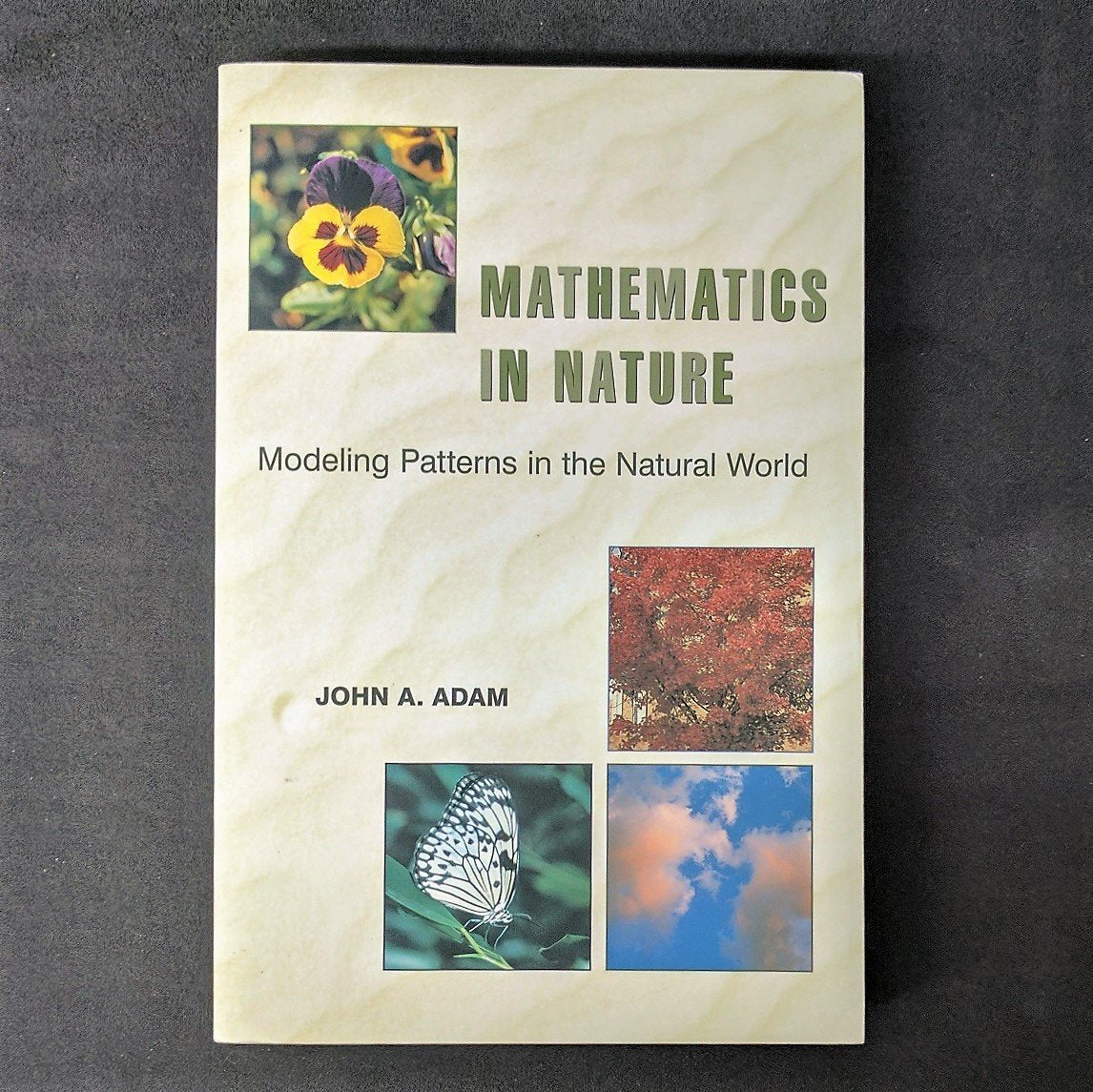 Mathematics In Nature: Modeling Patterns In The Natural World