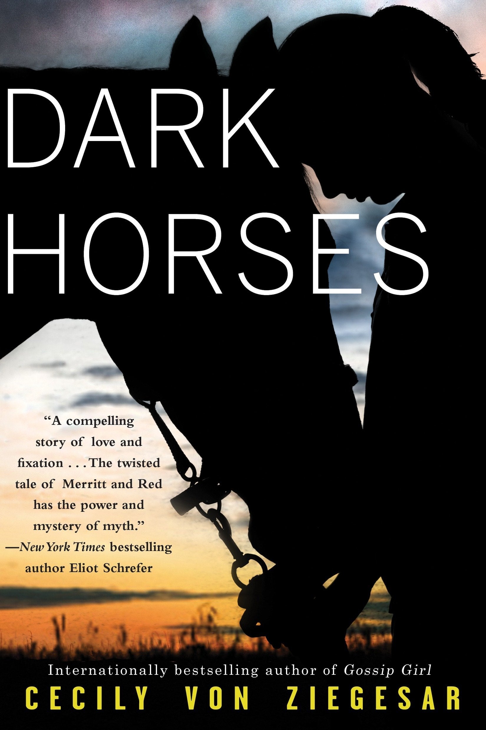Dark Horses,Used