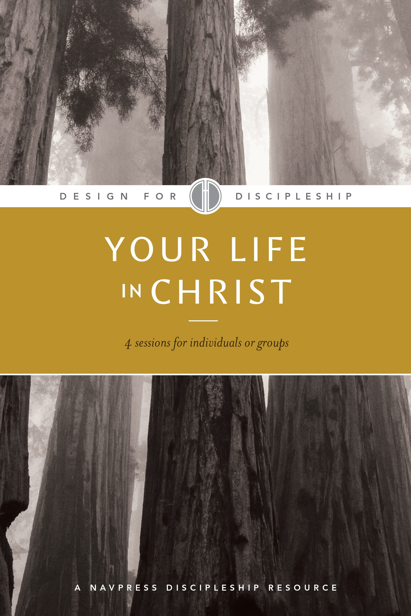 Your Life in Christ (Design for Discipleship),Used