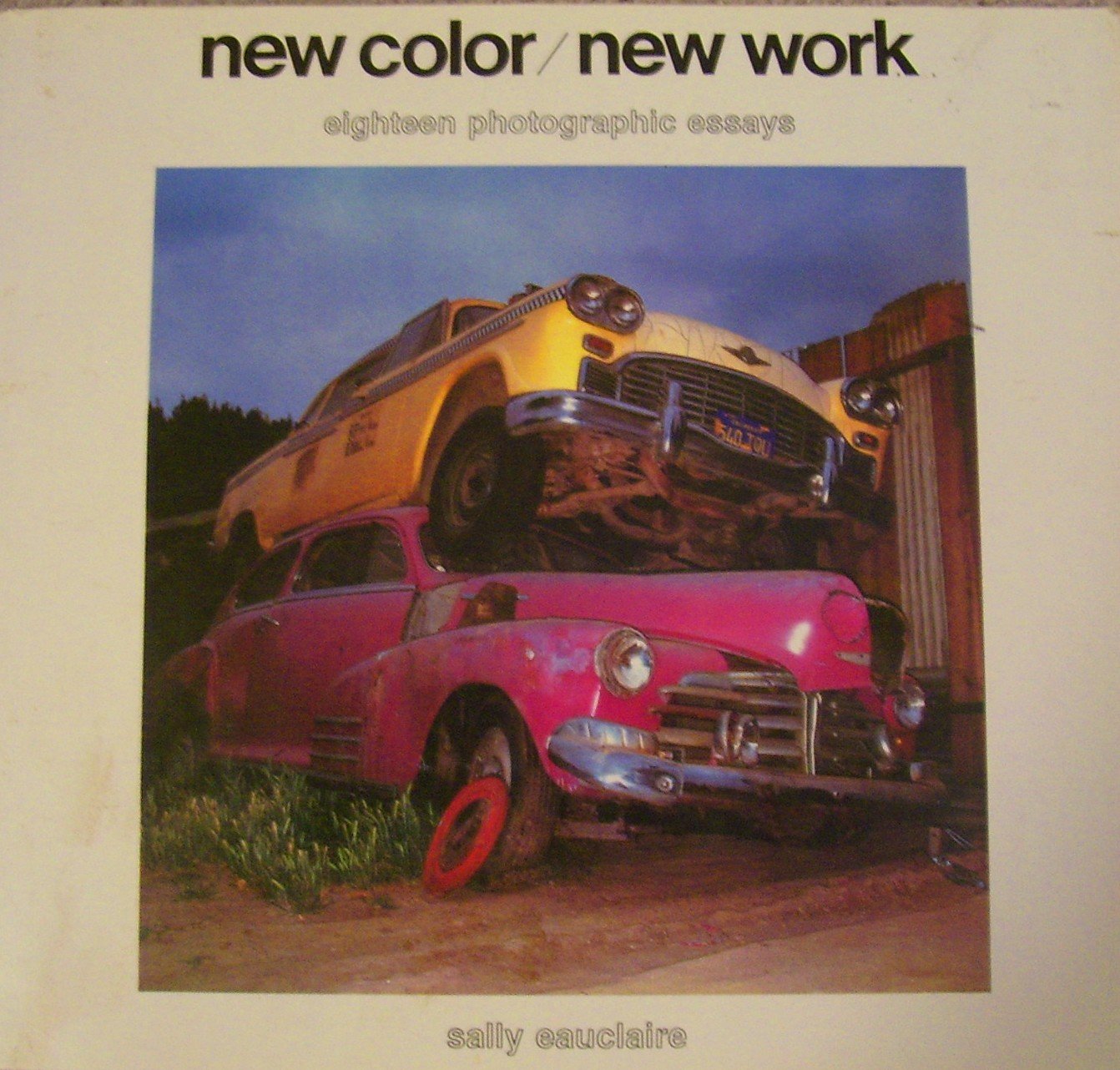 New Color/New Work: 18 Photographic Essays,New