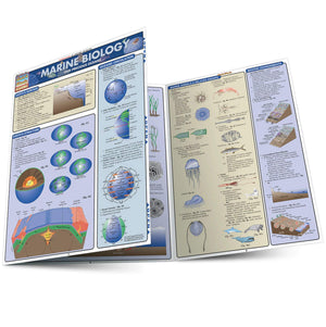 Marine Biology (Quickstudy Reference Guides  Academic),Used
