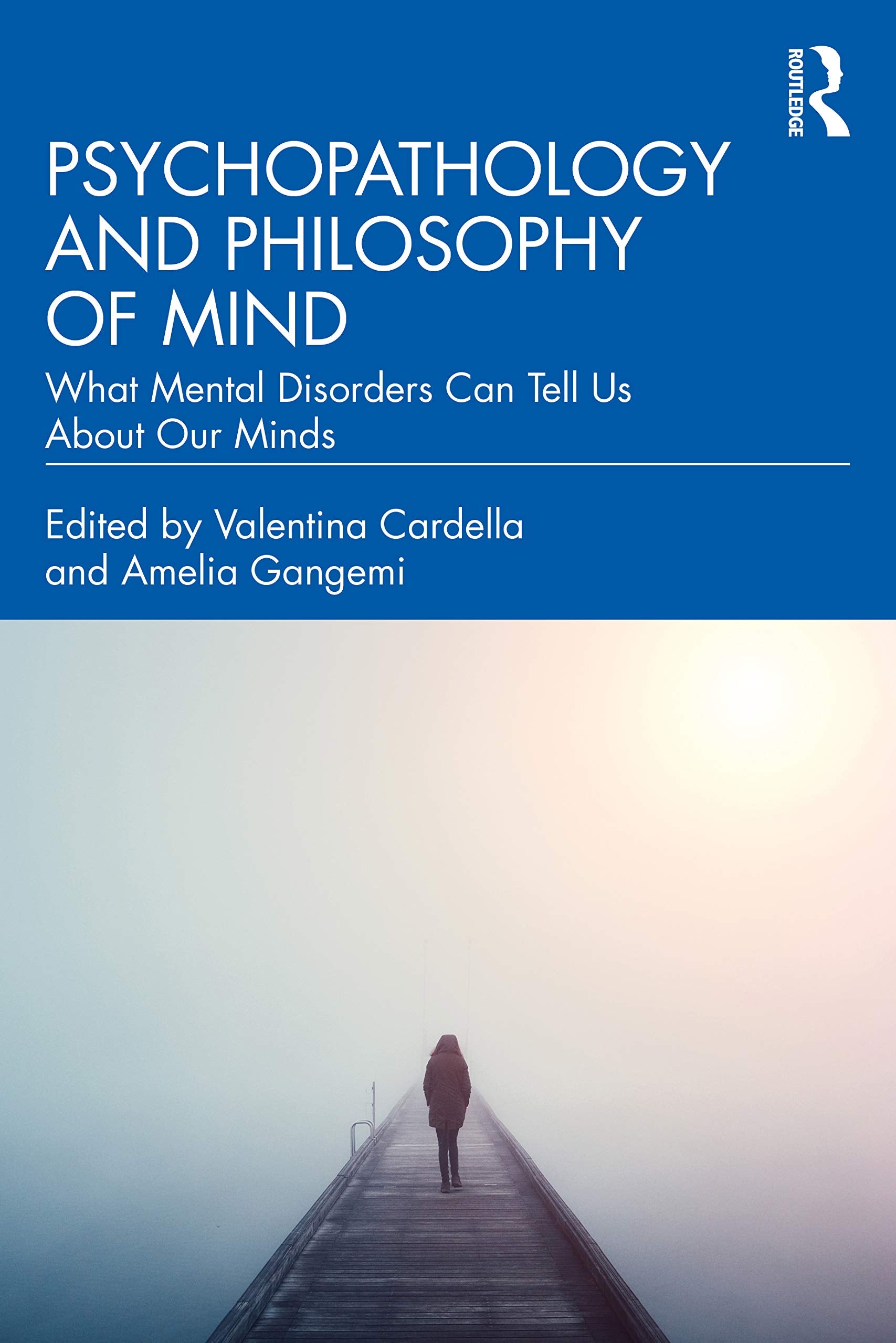 Psychopathology and Philosophy of Mind: What Mental Disorders Can Tell Us About Our Minds,Used