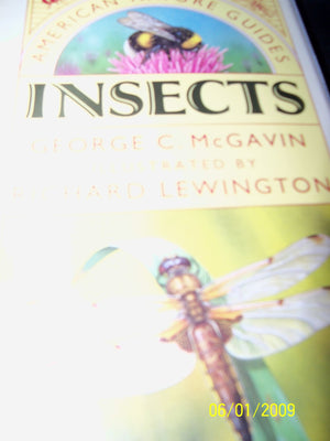 Insects (Americna Nature Guides),Used
