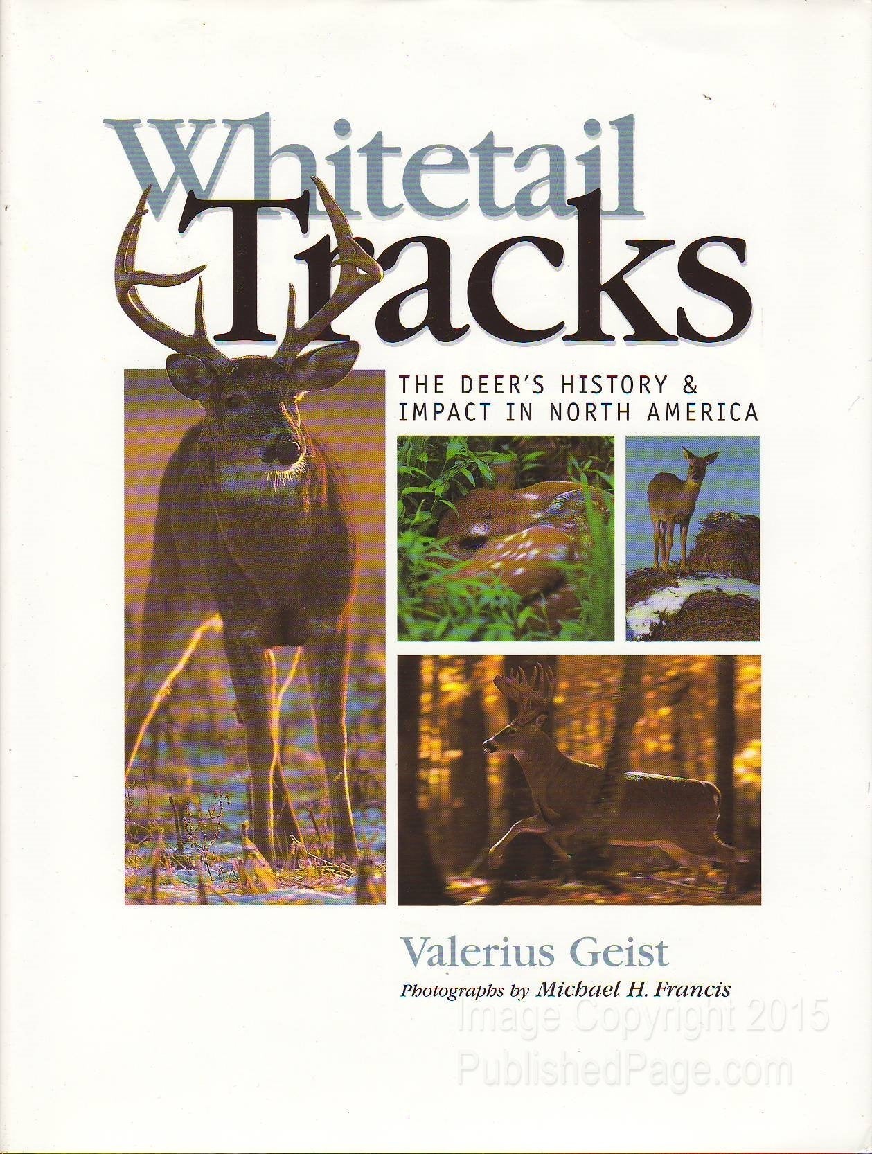 Whitetail Tracks: The Deer's History & Impact in North America,New