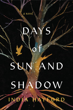 Days Of Sun And Shadow