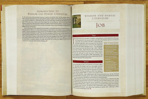 NIV Cultural Backgrounds Study Bible, Hardcover Red Letter - Zondervan: Explore the Ancient World of Scripture