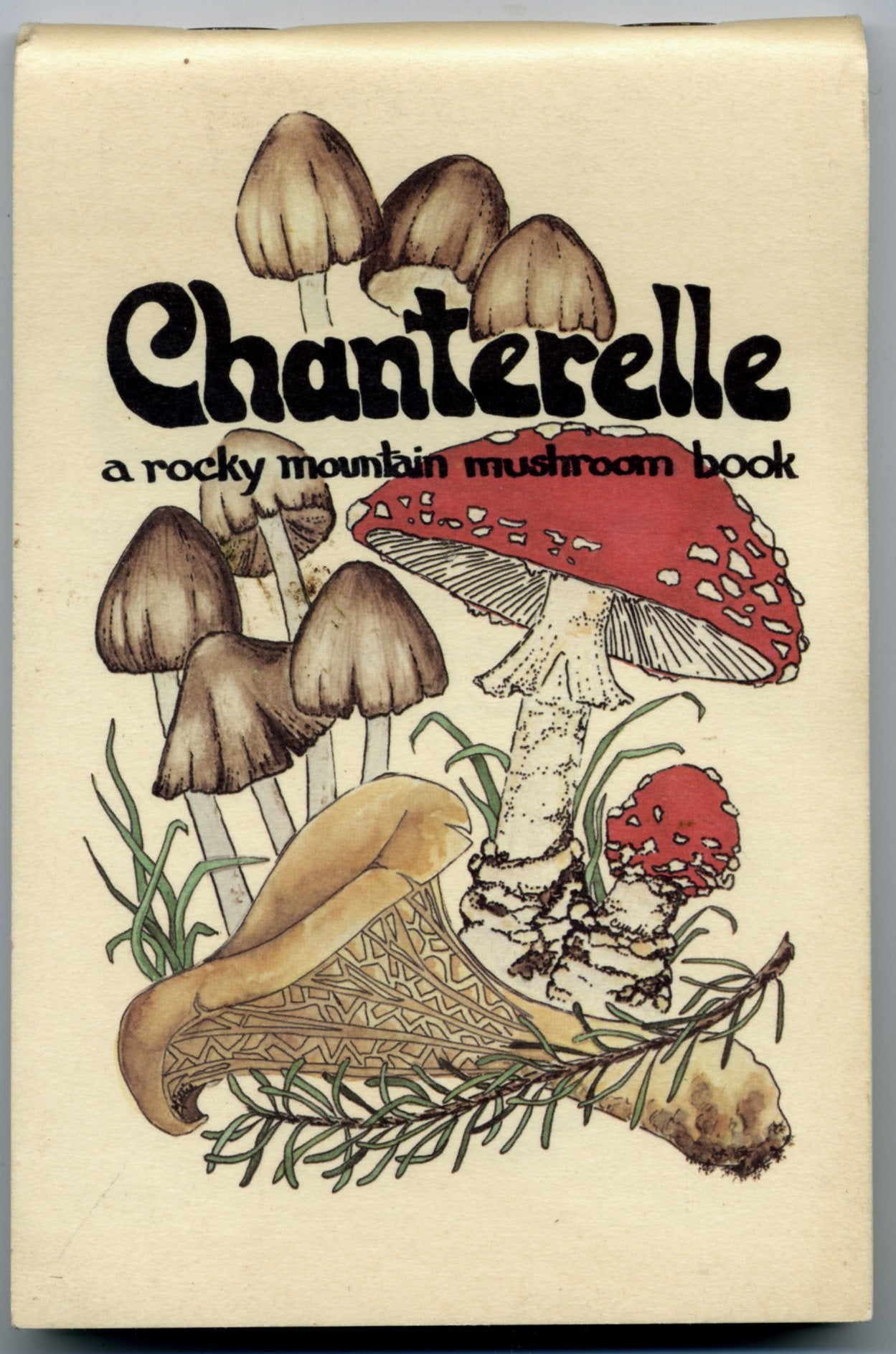 Chanterelle: A Rocky Mountain Mushroom Book,New