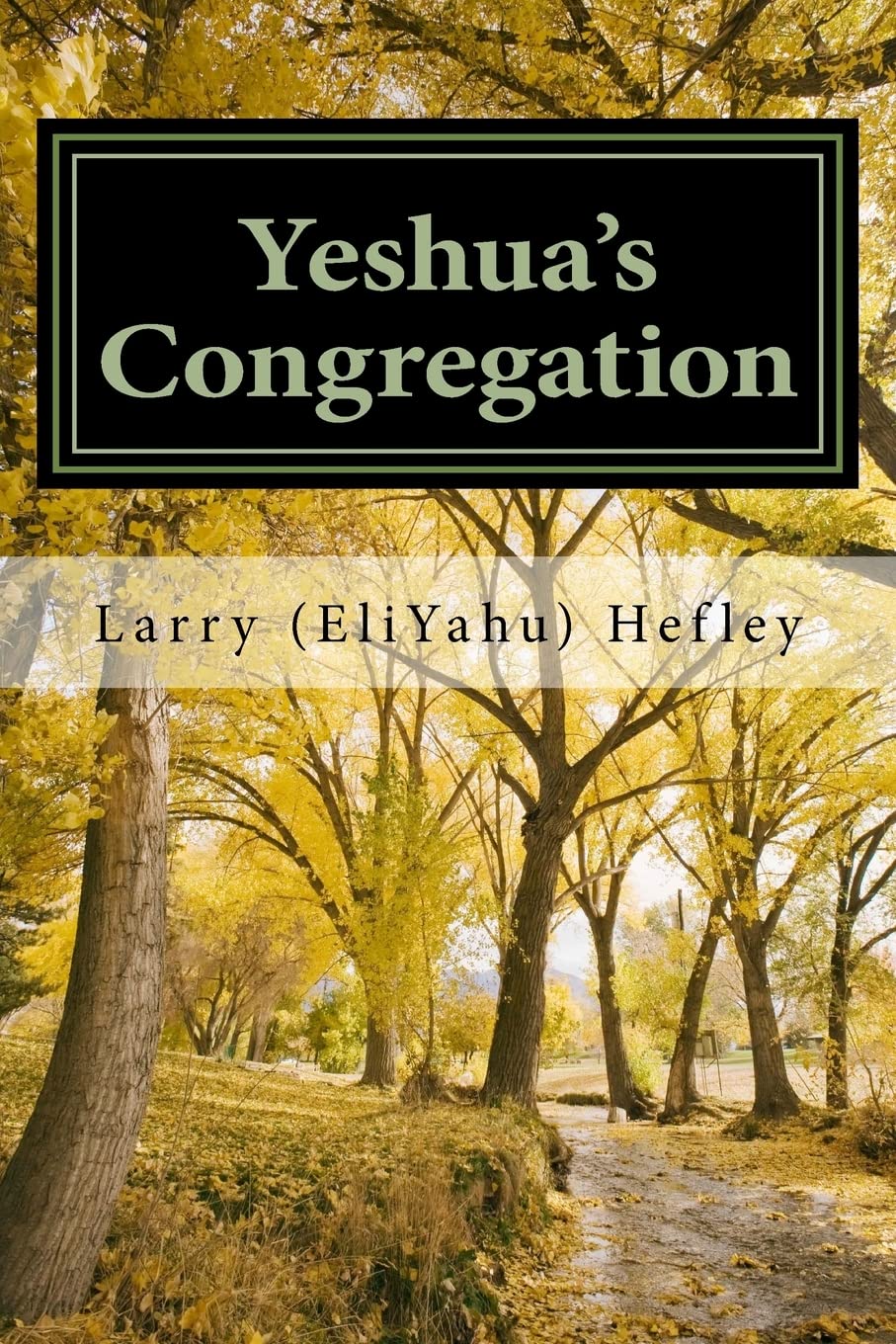 Yeshua'S Congregation: Sharing And Discipling,Used