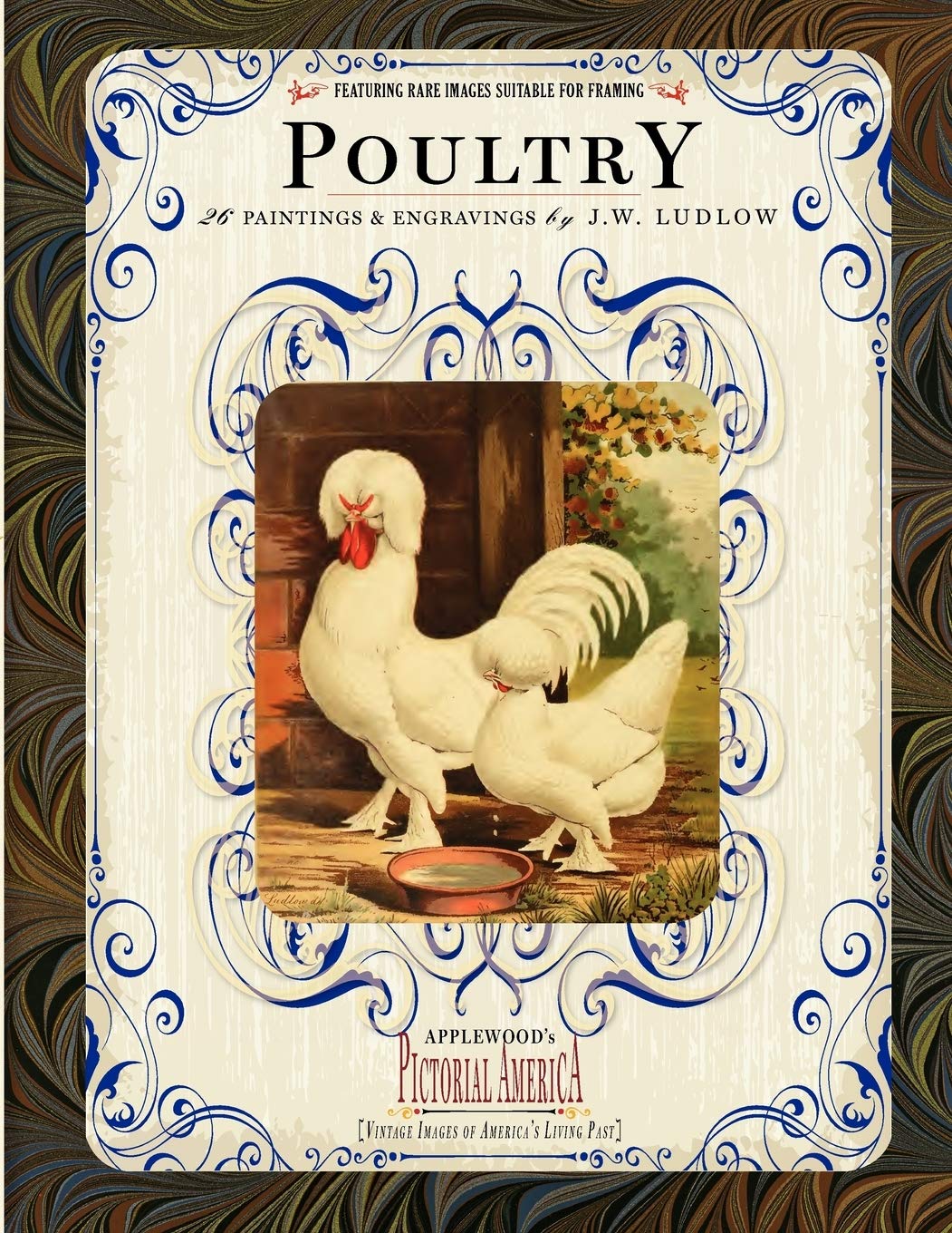 Poultry: 26 Paintings and Engravings by J. W. Ludlow (Pictorial America),Used