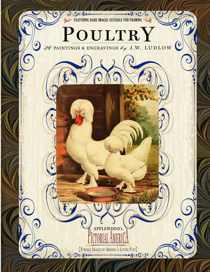 Poultry: 26 Paintings and Engravings by J. W. Ludlow (Pictorial America),Used