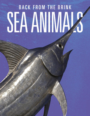 Sea Animals: Back From The Brink