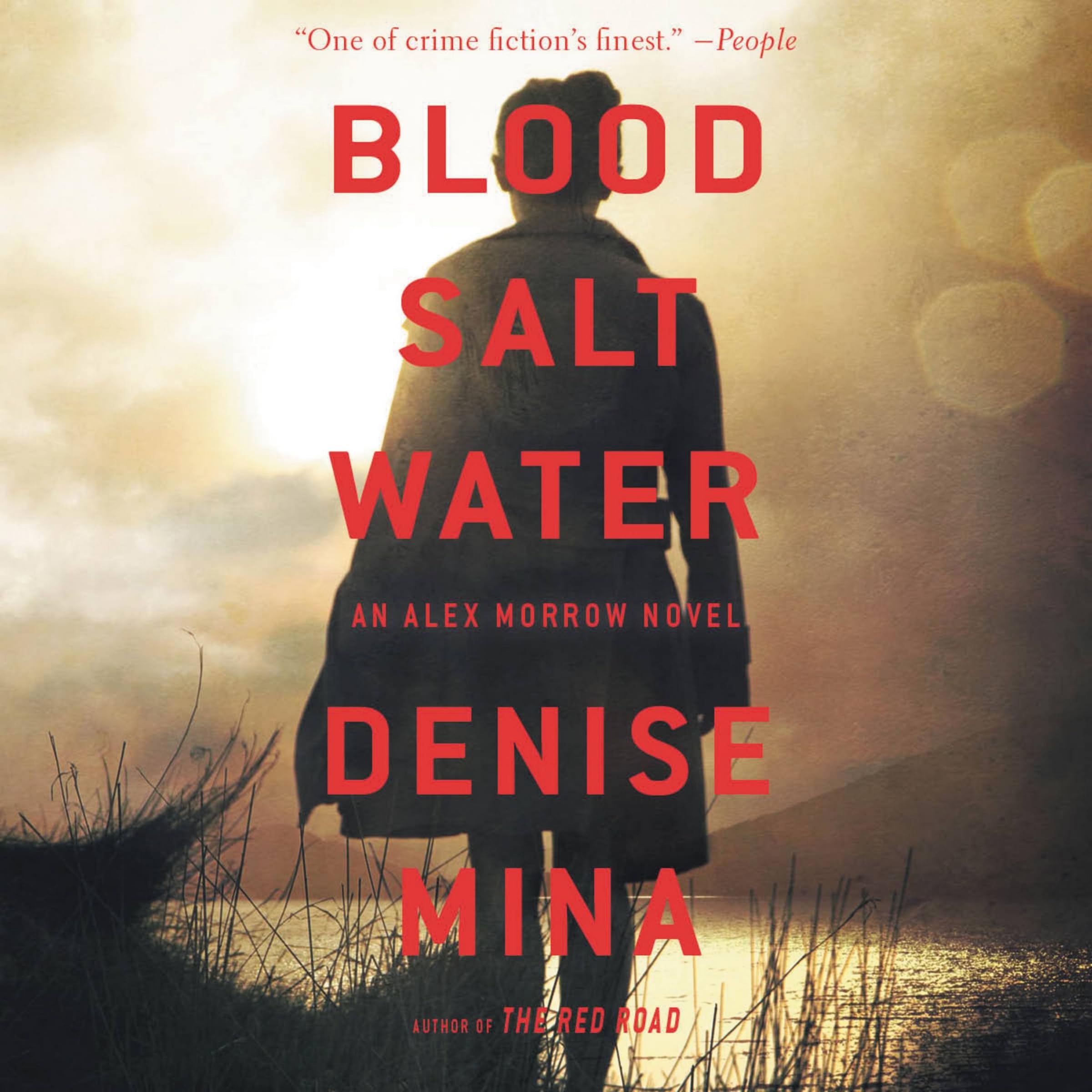 Blood, Salt, Water: An Alex Morrow Novel,Used