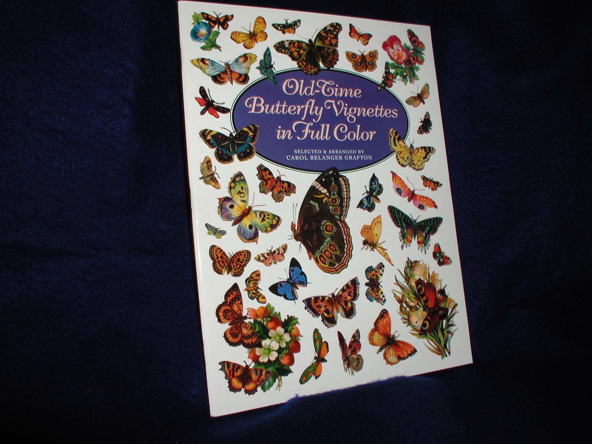 OldTime Butterfly Vignettes in Full Color (Dover Pictorial Archive Series),Used