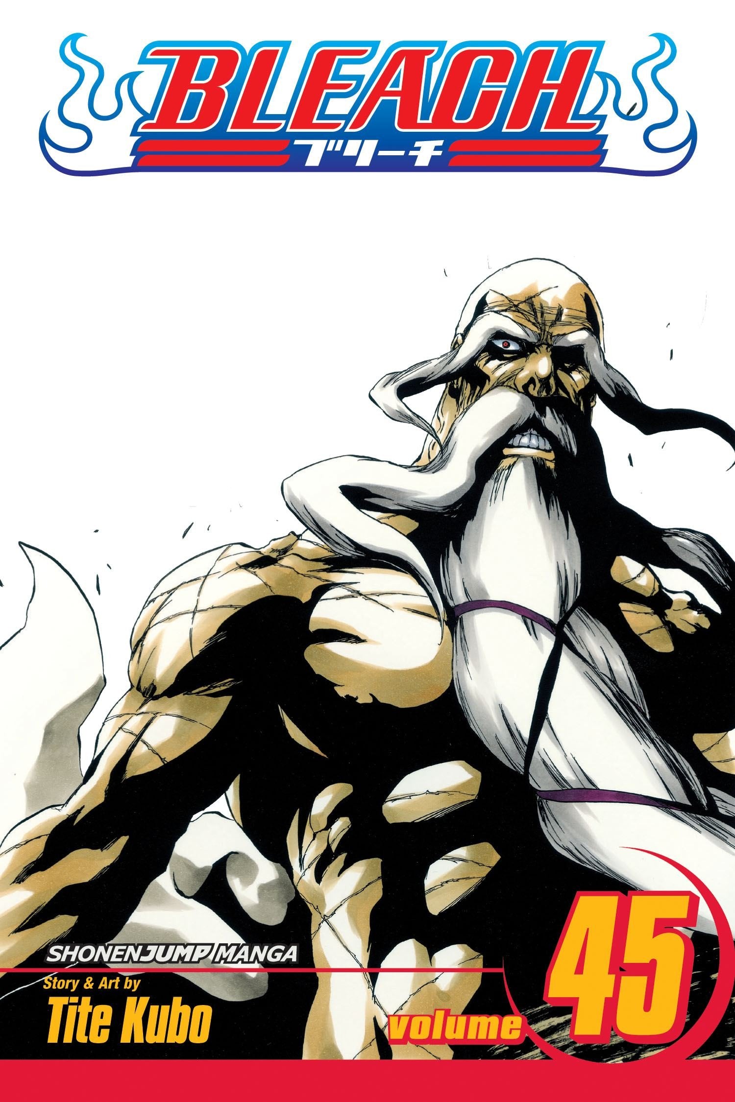Bleach, Vol. 45,New