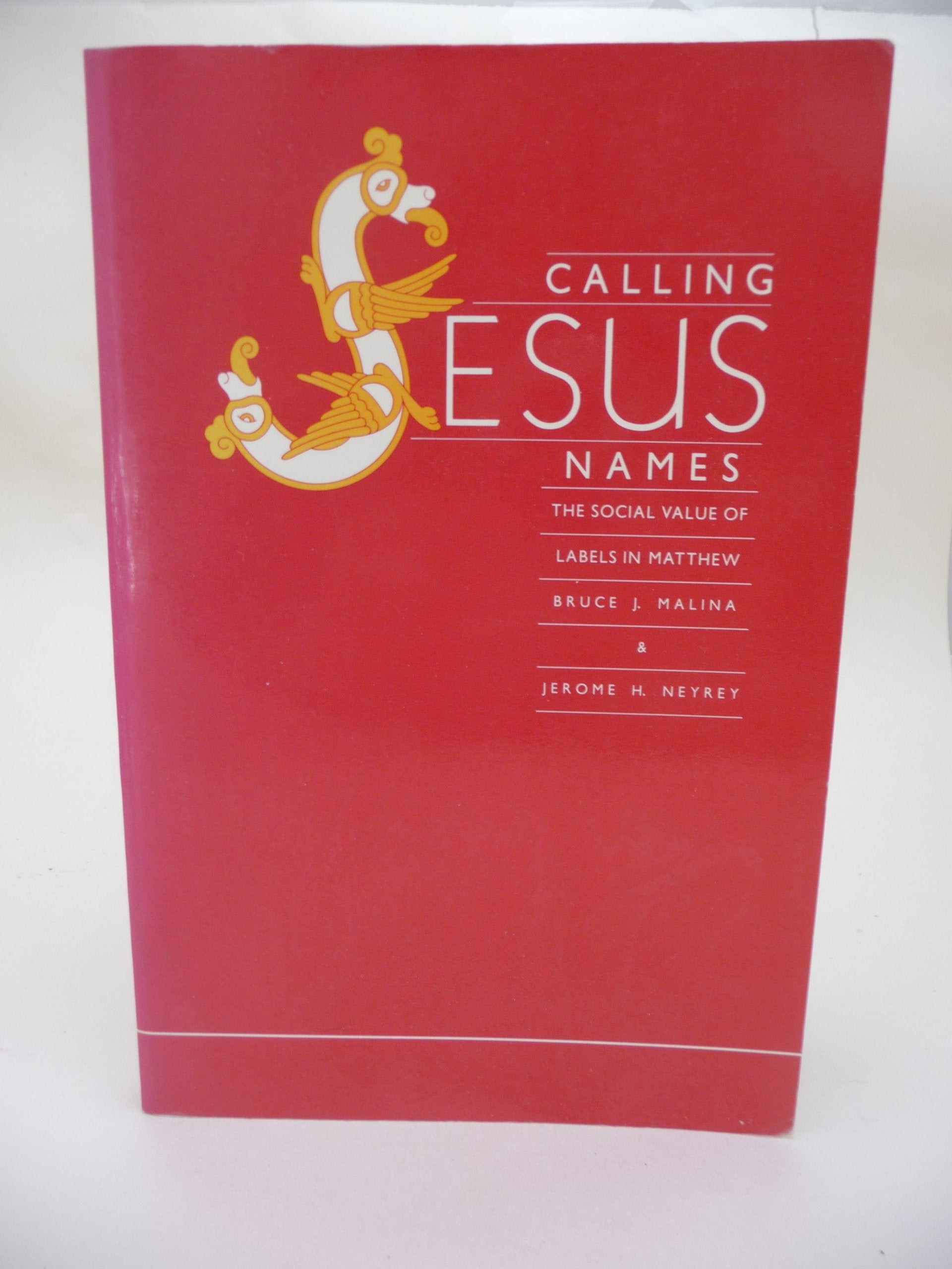 Calling Jesus Names: The Social Value Of Labels In Matthew (Foundations And Facets Social Facets),Used
