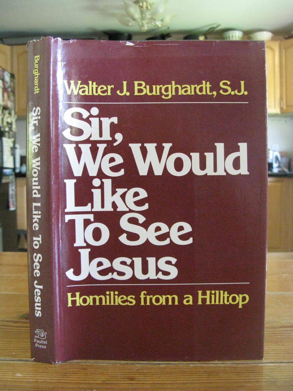 Sir, we would like to see Jesus: Homilies from a hilltop,Used