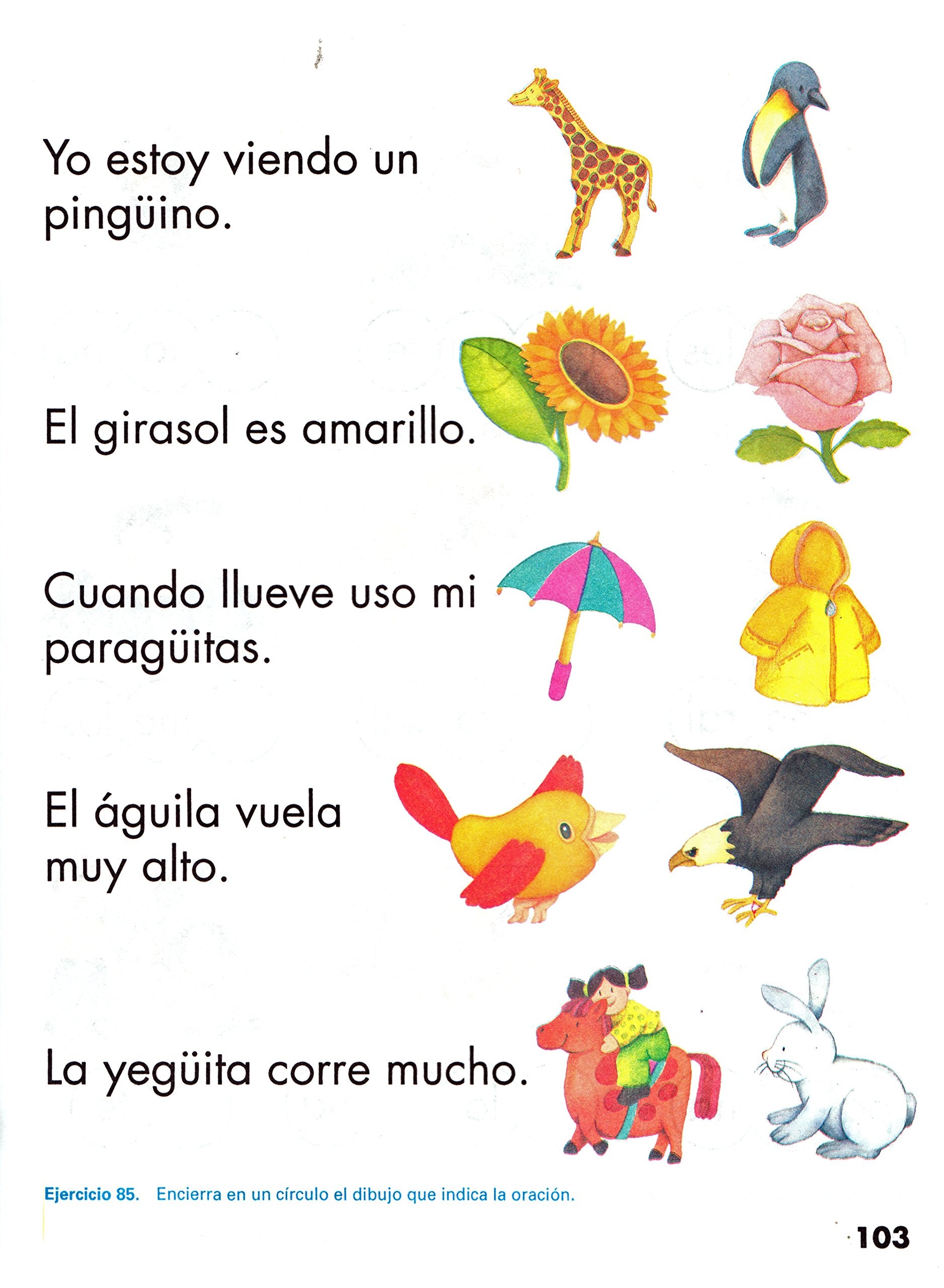 Juguemos a Leer/Playing to Read (Spanish Edition),Used