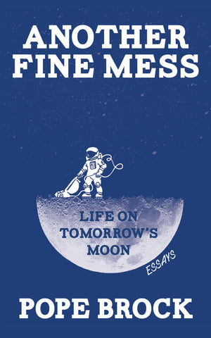 Another Fine Mess,Used