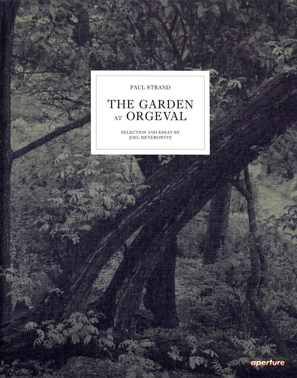 Paul Strand: The Garden At Orgeval