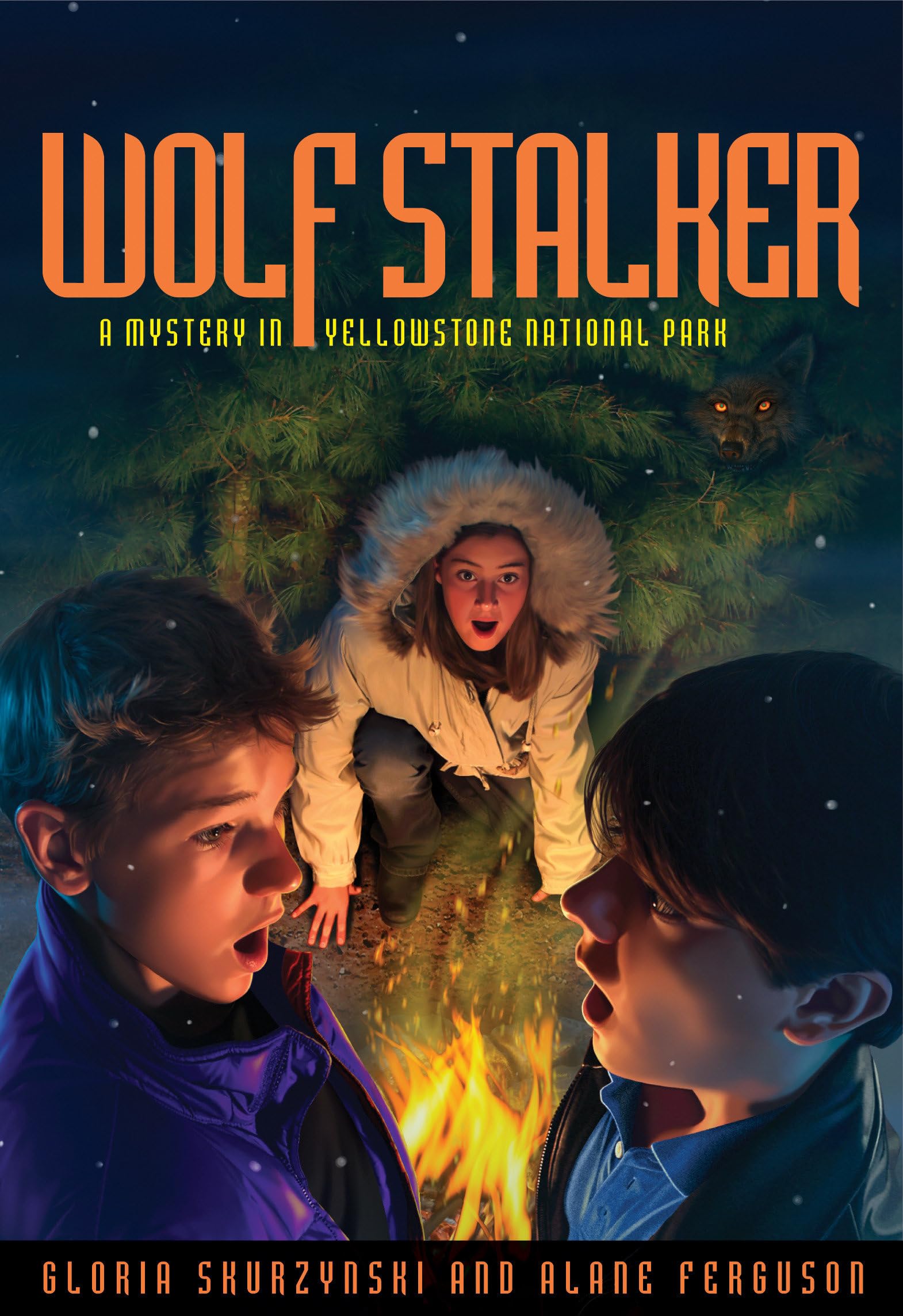 Mysteries in Our National Parks: Wolf Stalker: A Mystery in Yellowstone National Park,Used