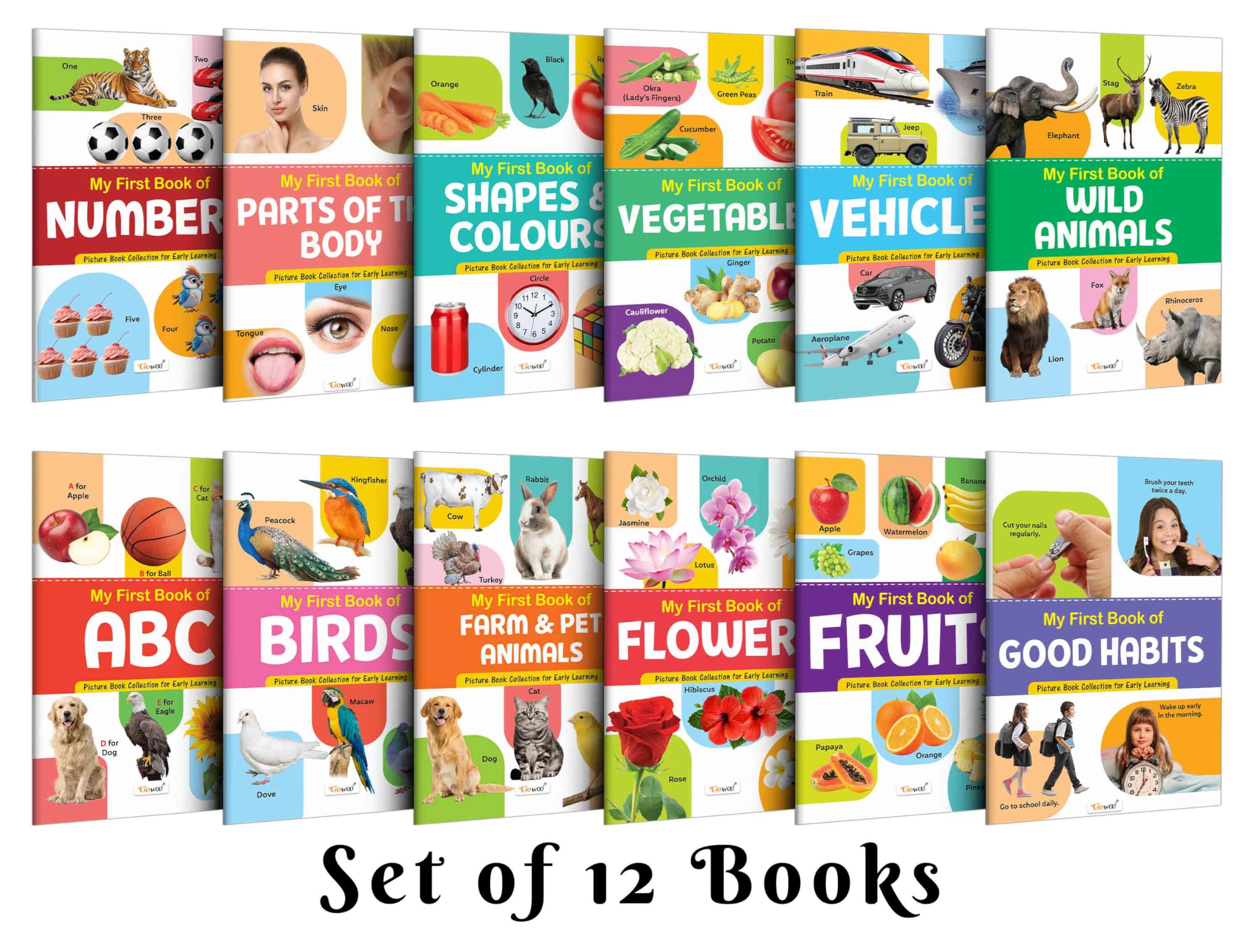 My First Picture Book Collection For Early Learning : Early Learning Picture Book Collections, Essential Book With 12 Topics, Gift For Kids