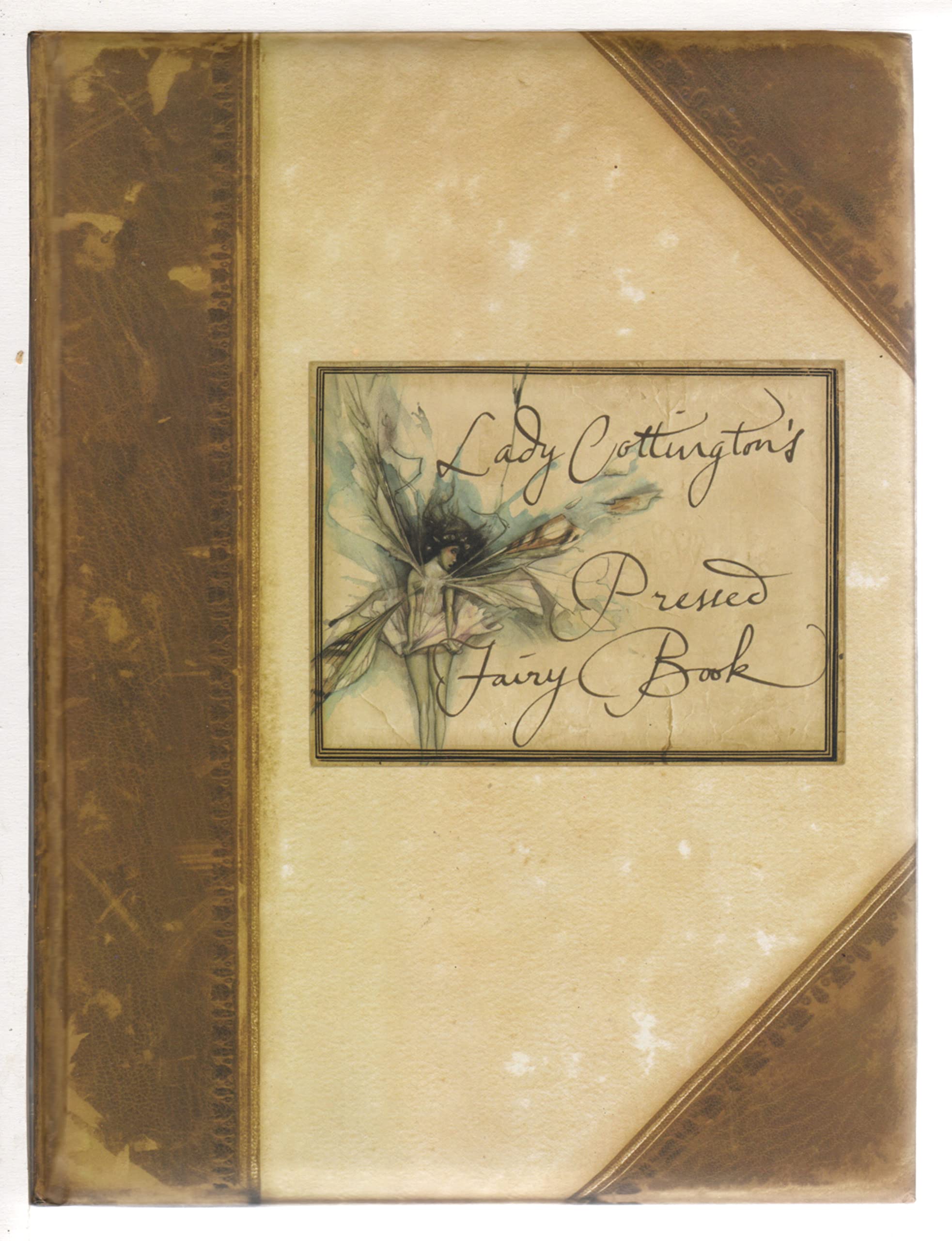 Lady Cottington's Pressed Fairy Book,New