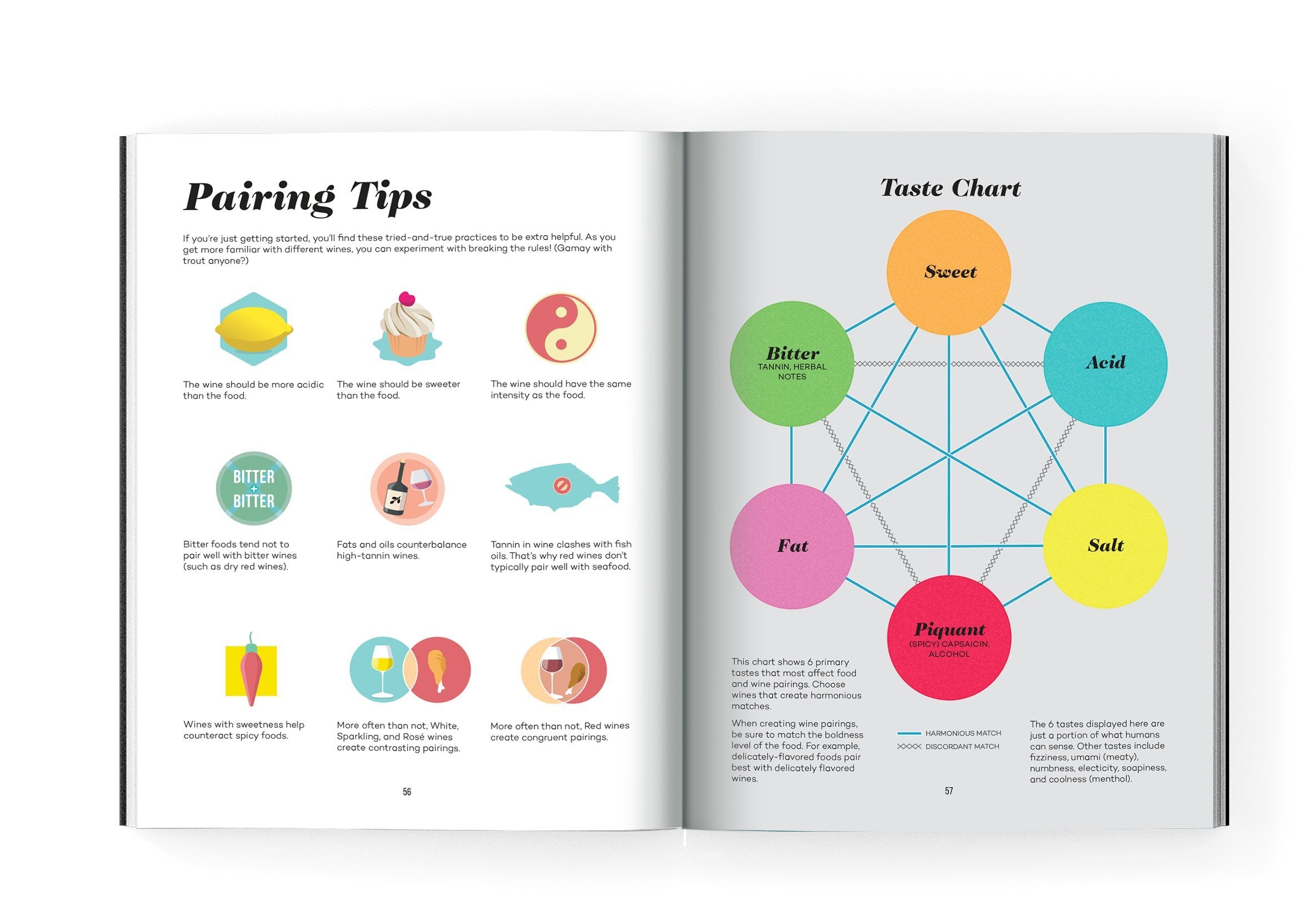 Wine Folly: Magnum Edition: The Master Guide-used