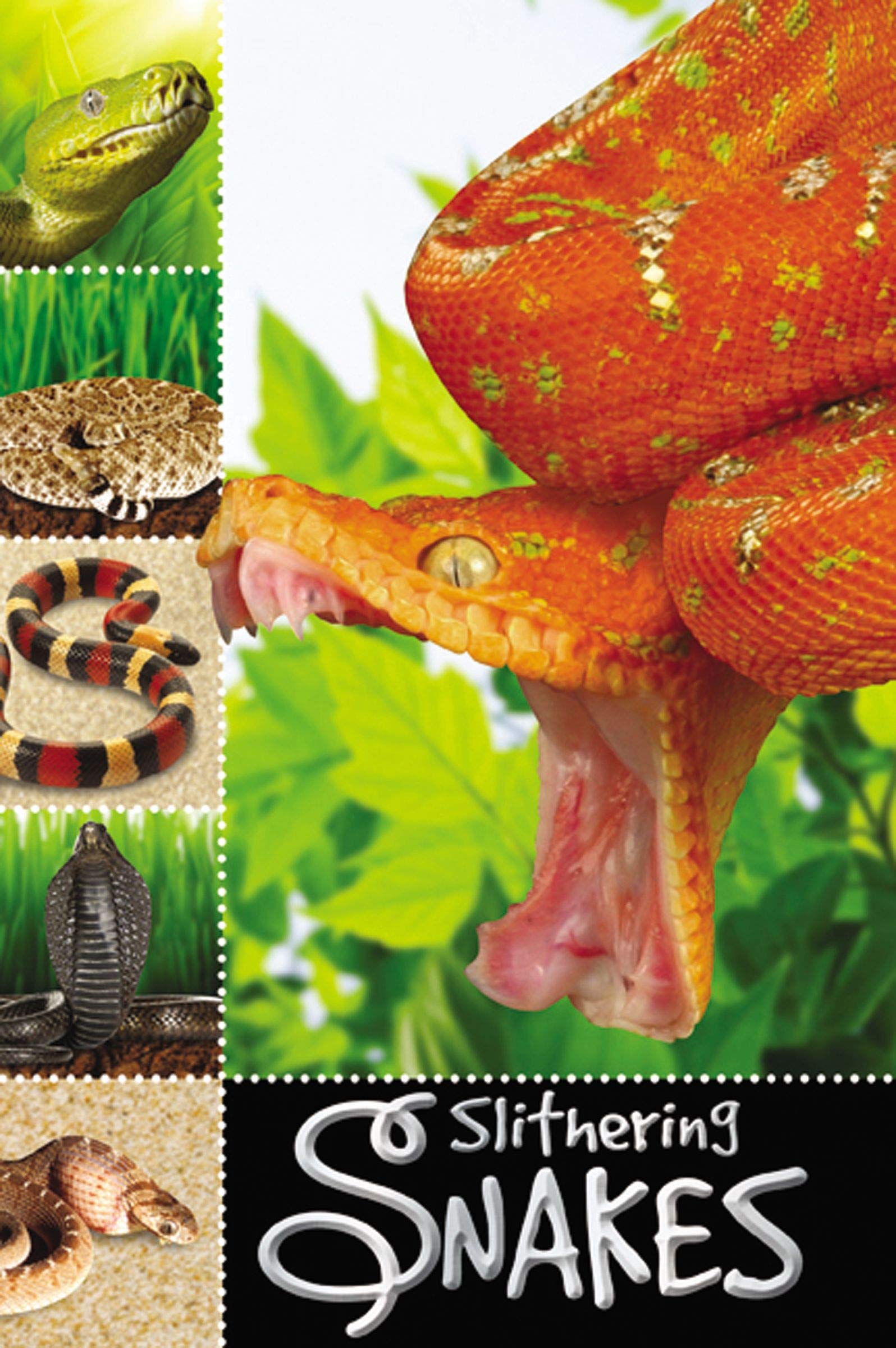 Slithering Snakes (Ready To Read),Used