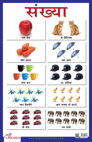 Sankhya Hindi Numbers - Thick Laminated Primary Chart
