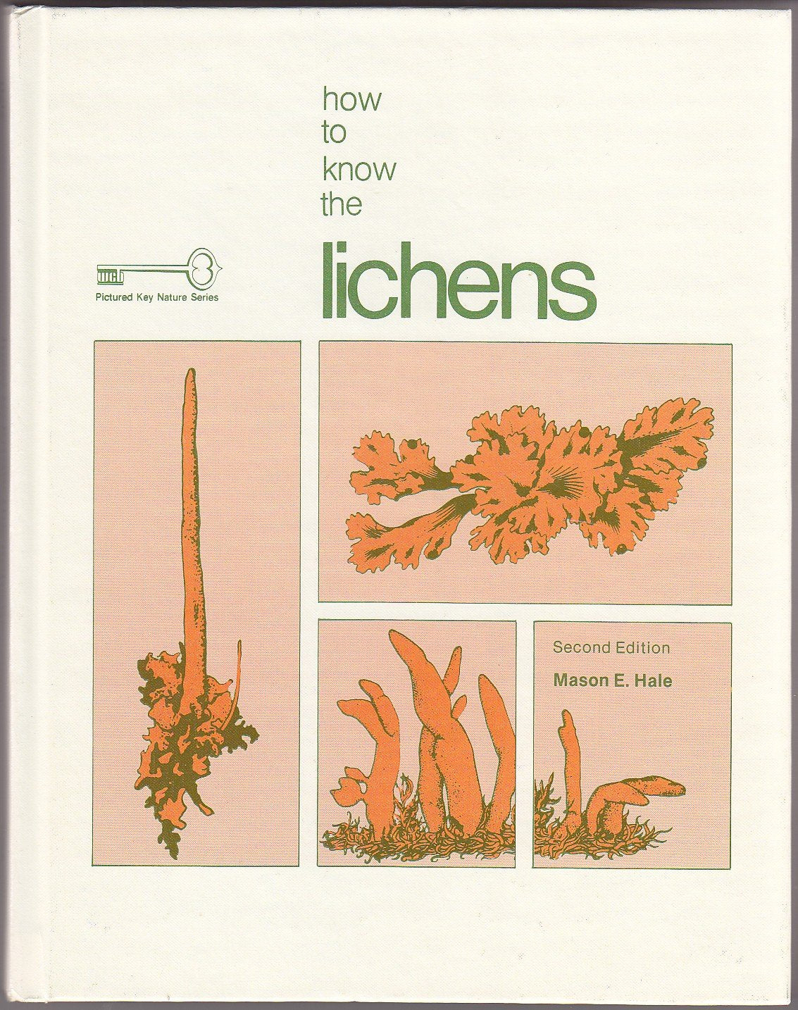 How to Know the Lichens (The Pictured Key Nature Series),Used