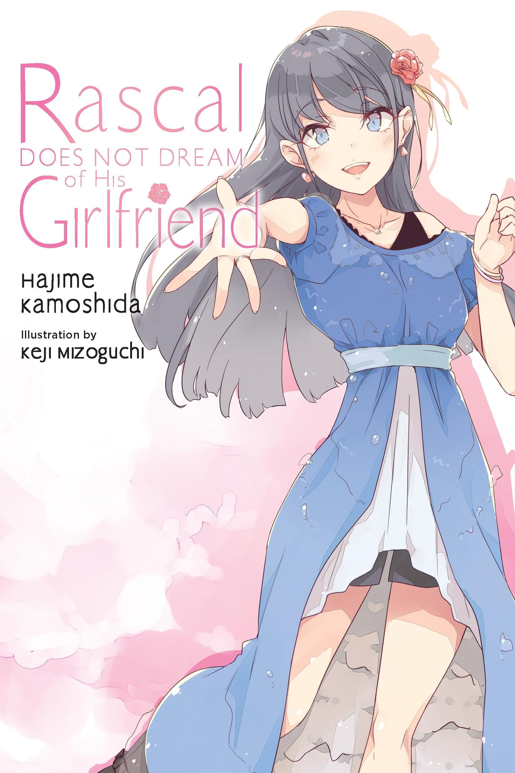 Rascal Does Not Dream Of Girlfriend Ln