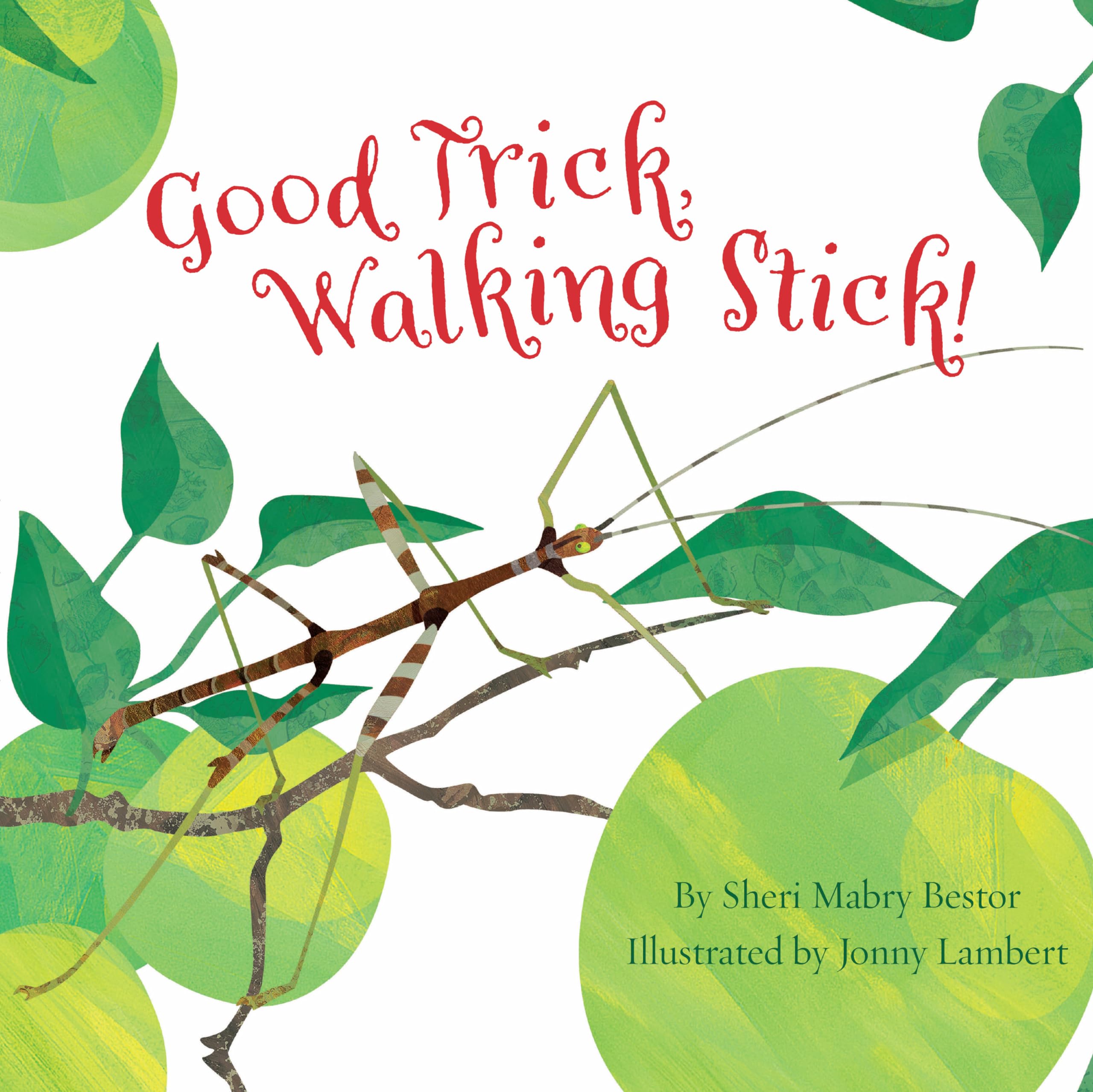 Good Trick Walking Stick,Used