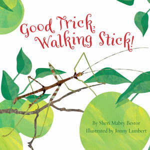 Good Trick Walking Stick,Used