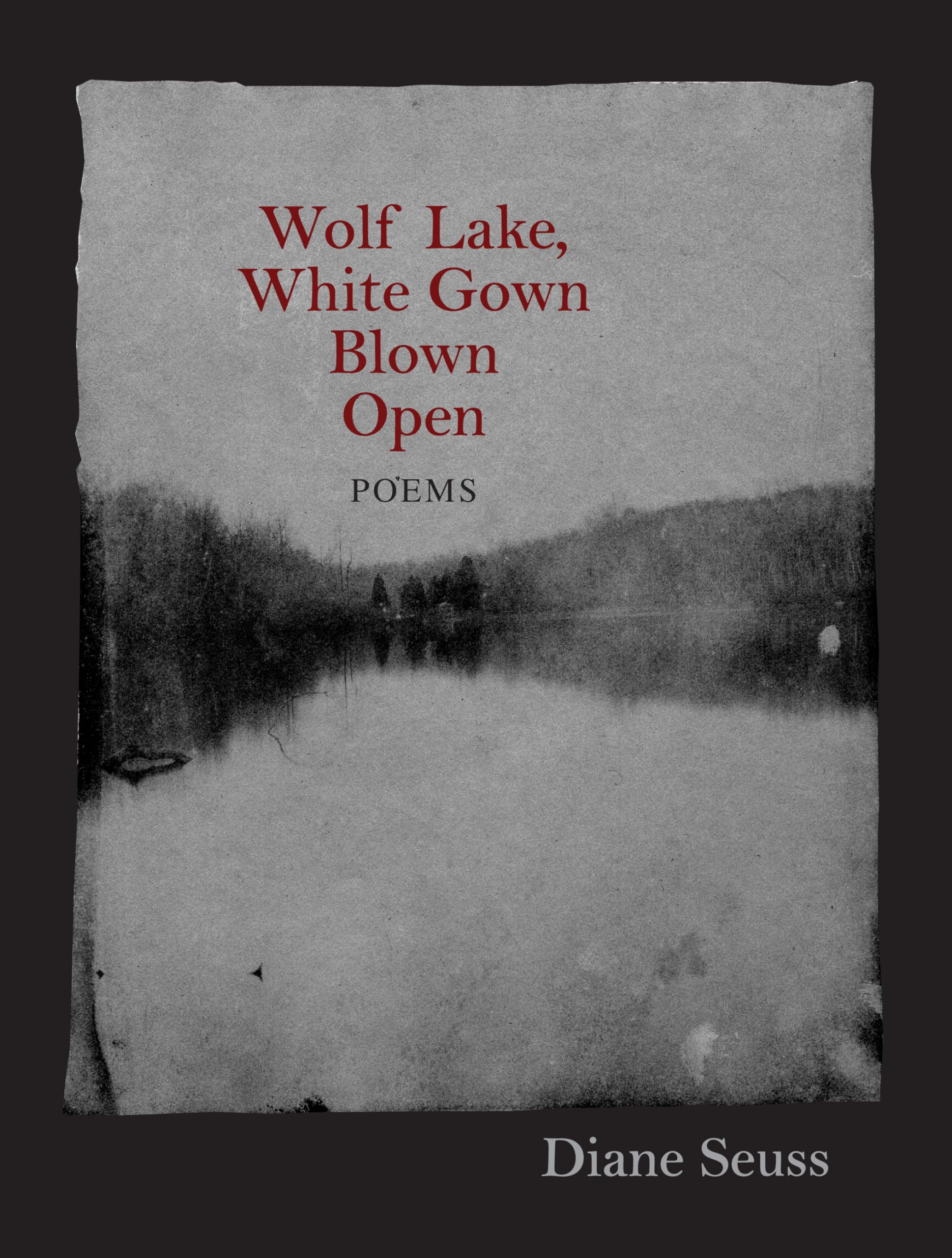 Wolf Lake, White Gown Blown Open: Poems (Juniper Prize For Poetry)