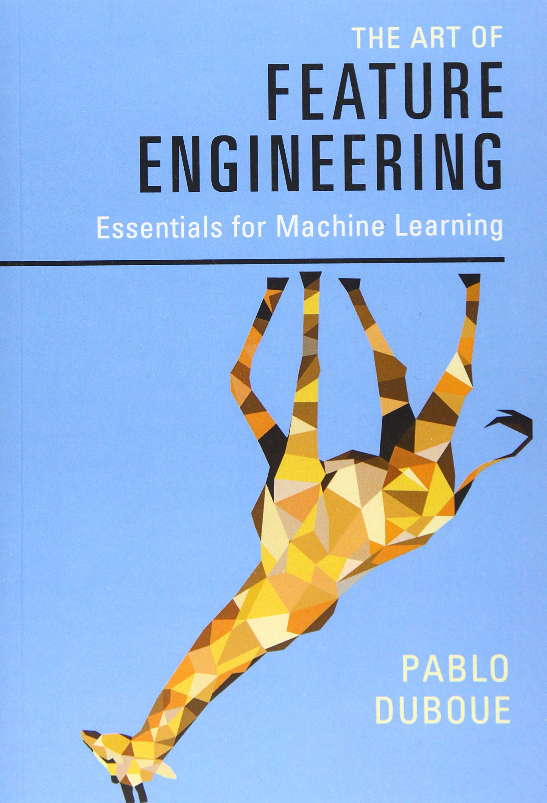 The Art of Feature Engineering: Essentials for Machine Learning,Used