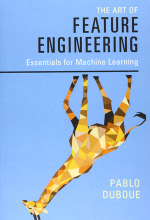 The Art of Feature Engineering: Essentials for Machine Learning,Used