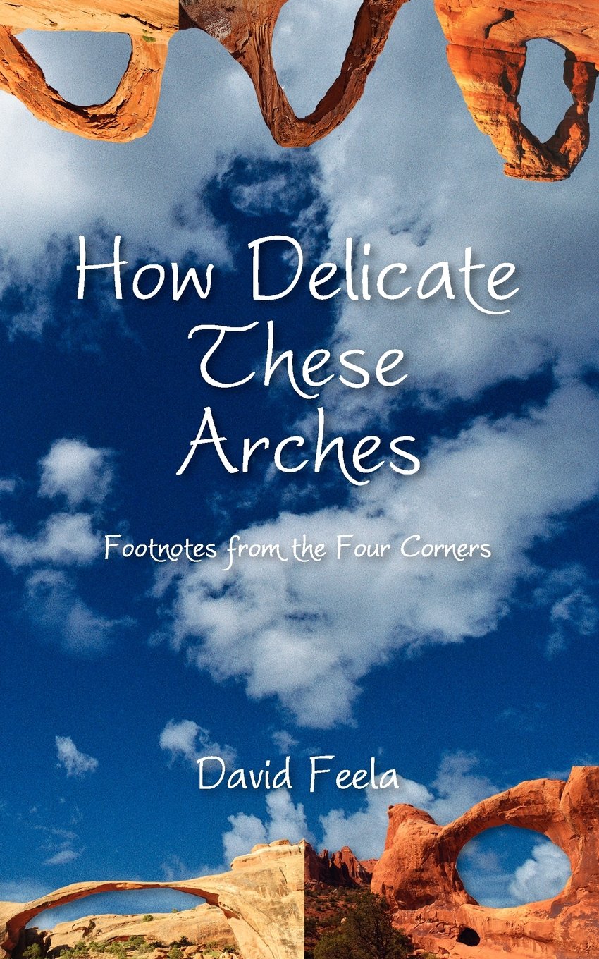 How Delicate These Arches: Footnotes from the Four Corners,Used